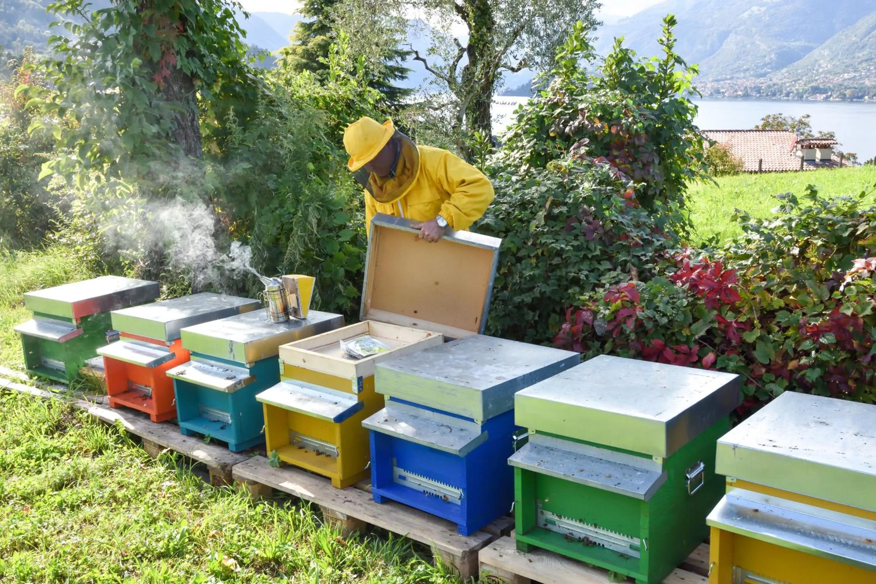 Garden in Agriturismo Il Colle