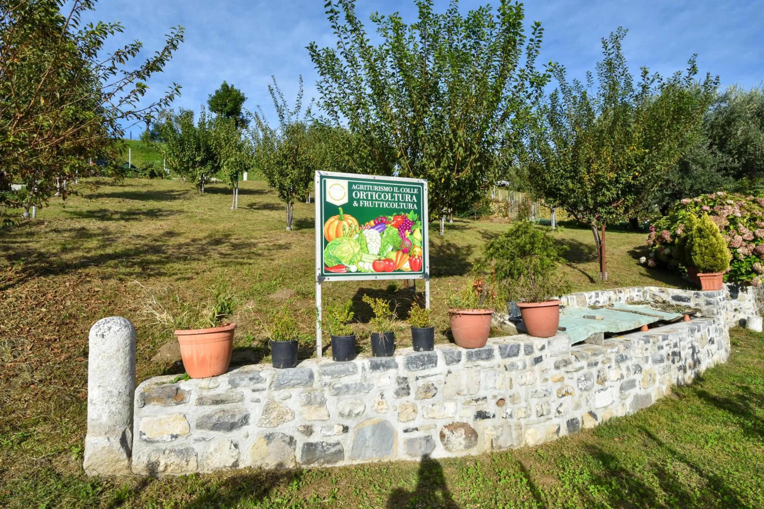 Garden in Agriturismo Il Colle