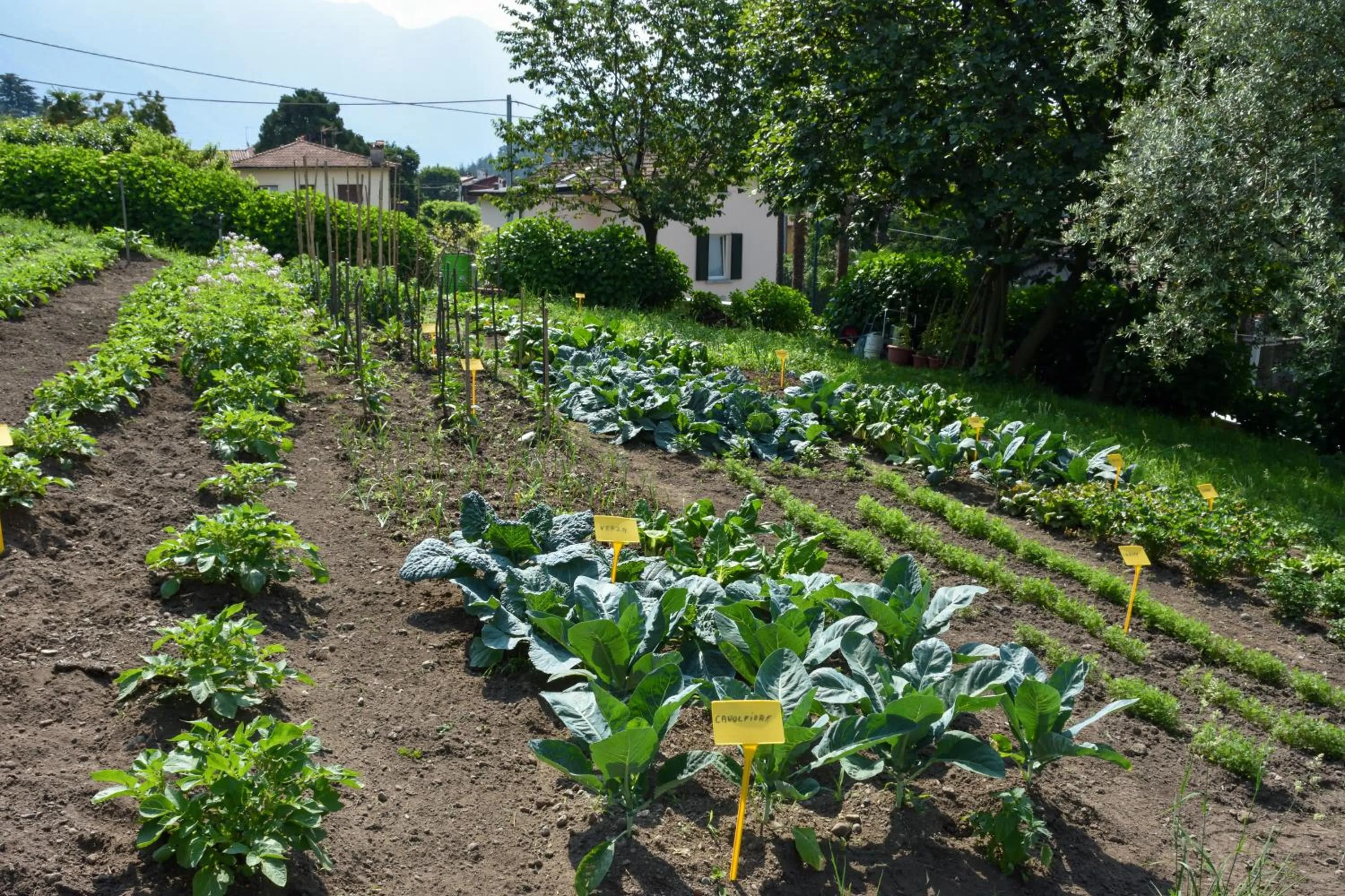 Garden in Agriturismo Il Colle