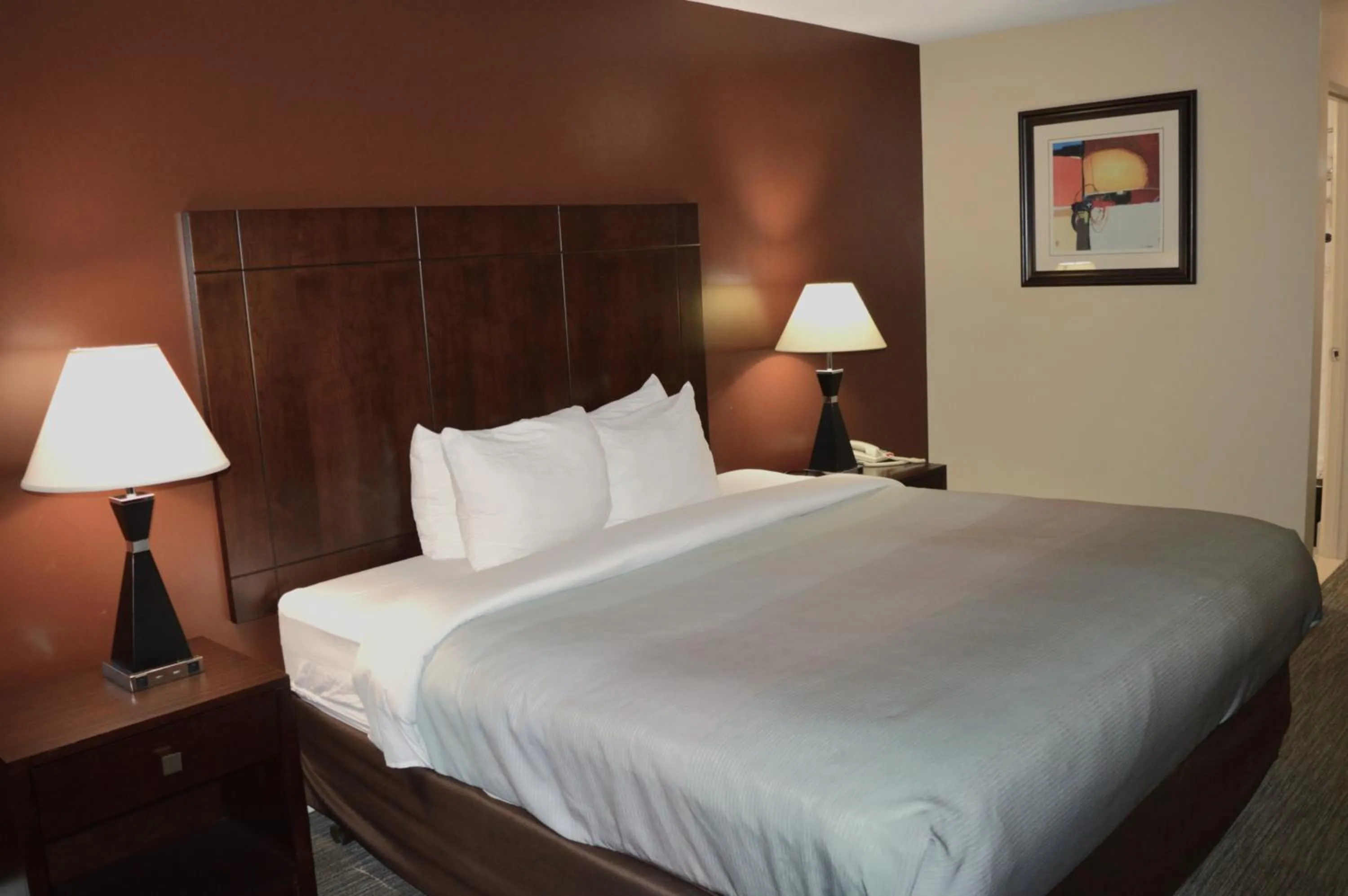 Bedroom, Bed in Quality Inn O'Hare Airport