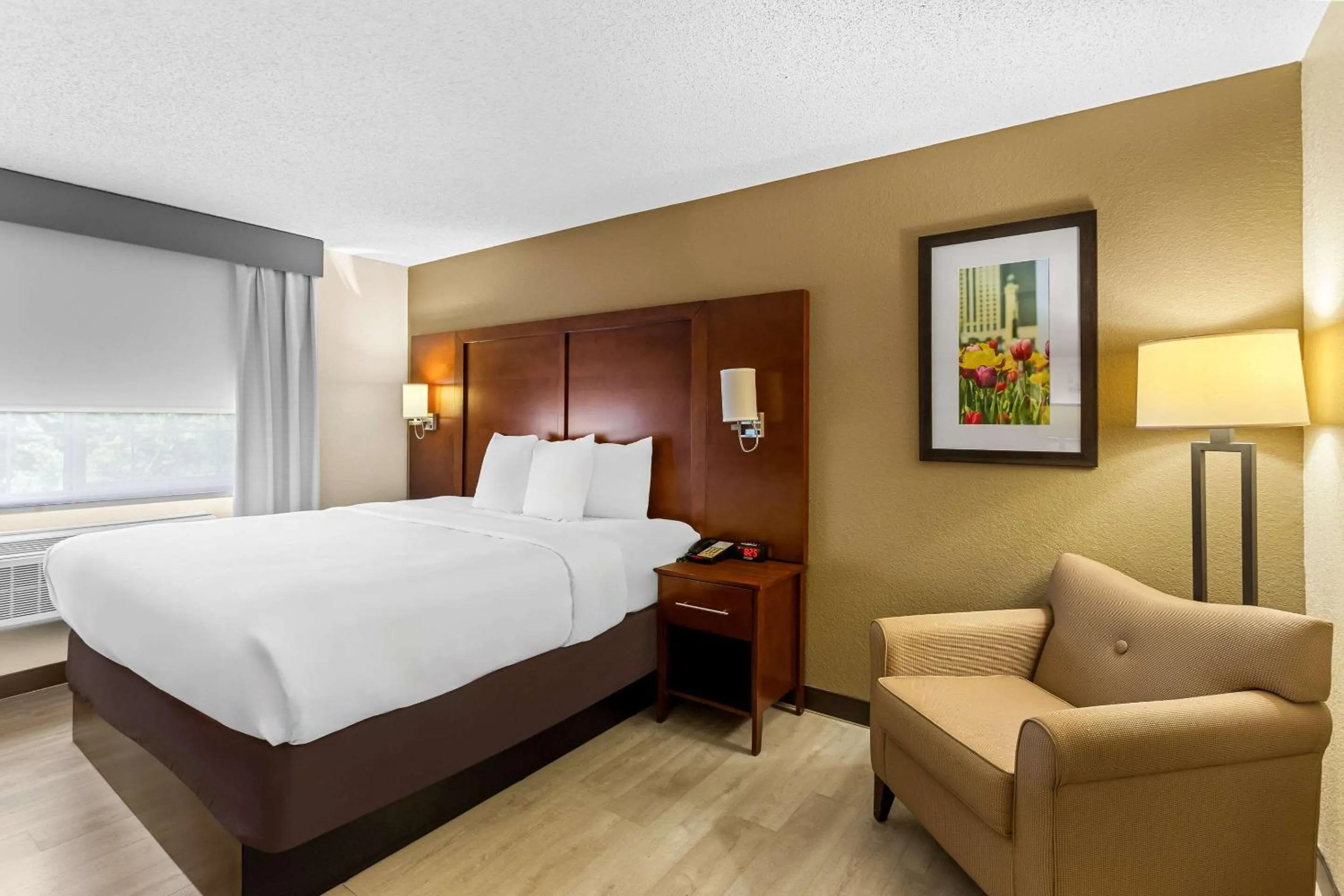 Bedroom, Bed in Comfort Suites Grayslake near Libertyville North