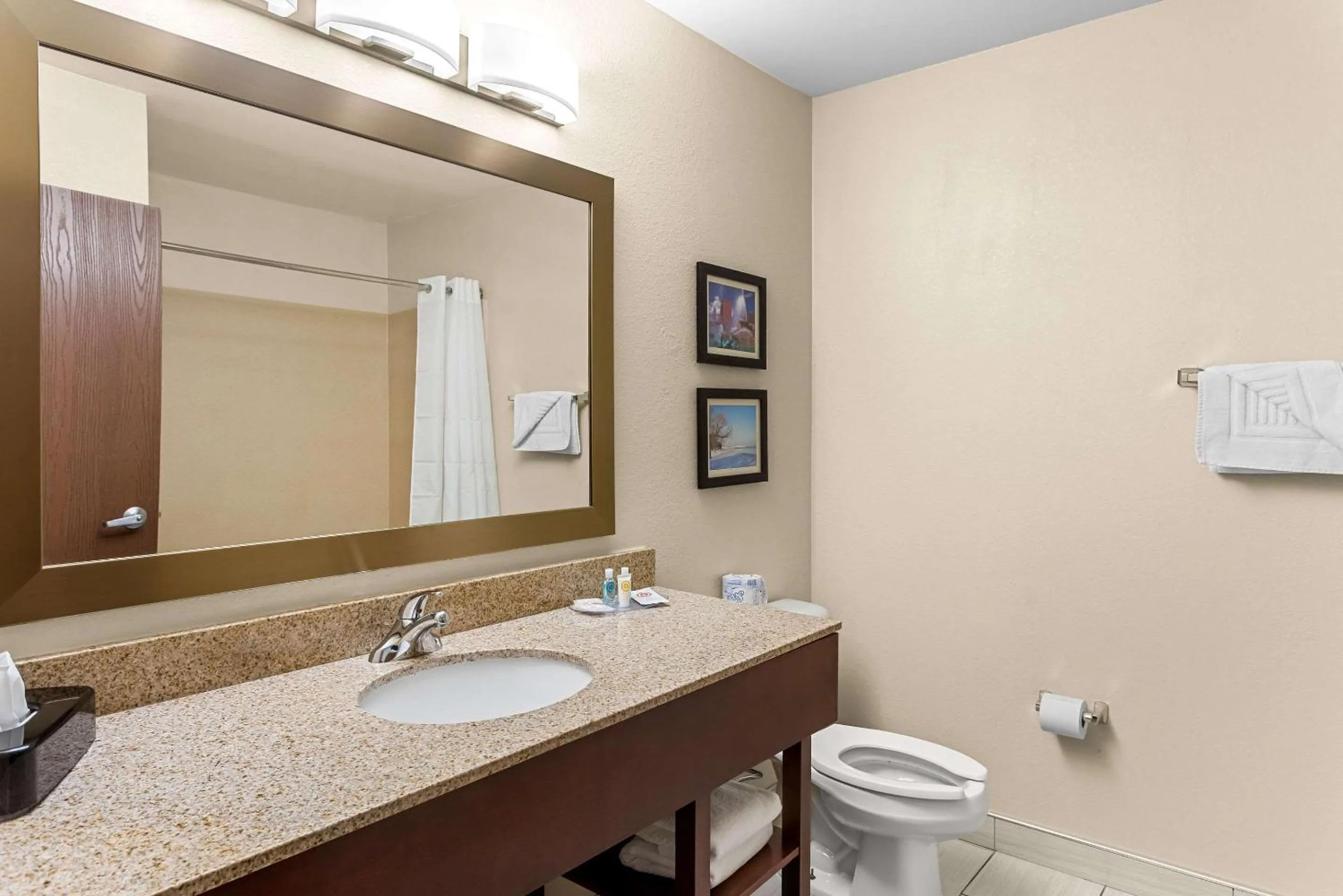 Bedroom in Comfort Suites Grayslake near Libertyville North