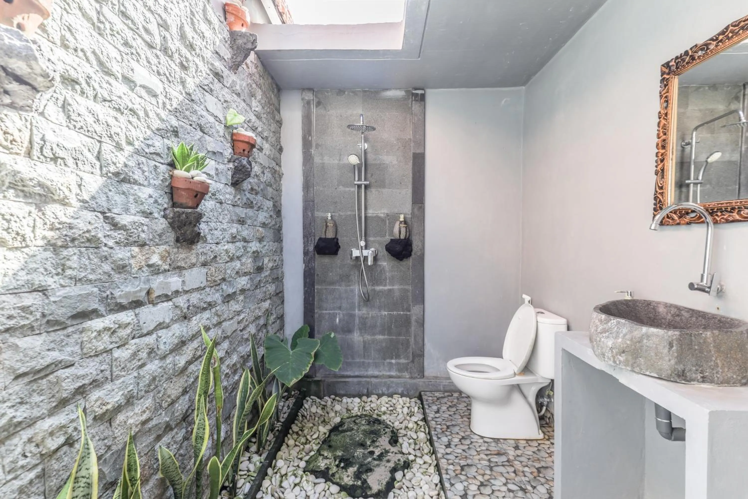 Shower in The Box Paradise Cottage