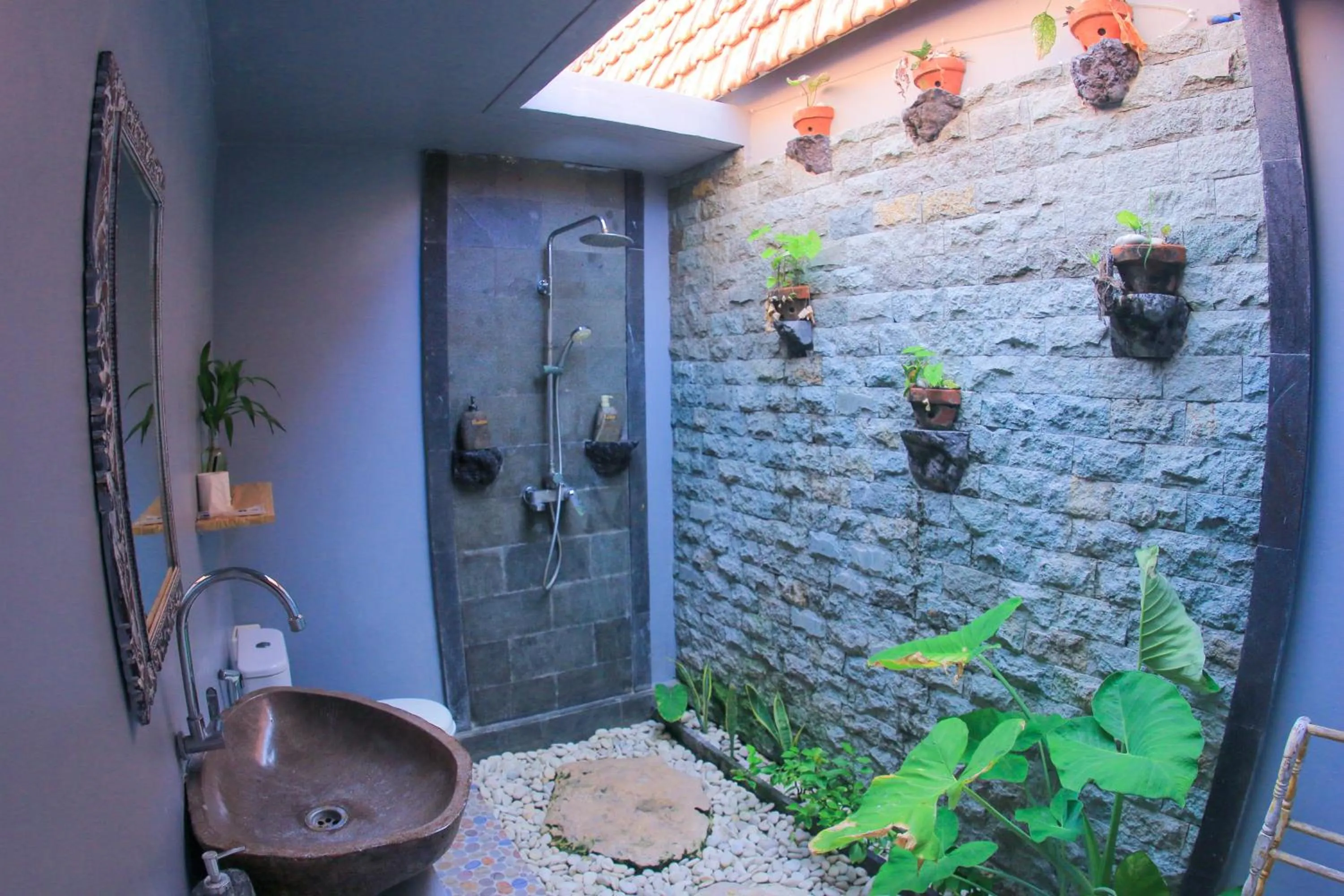 Shower in The Box Paradise Cottage