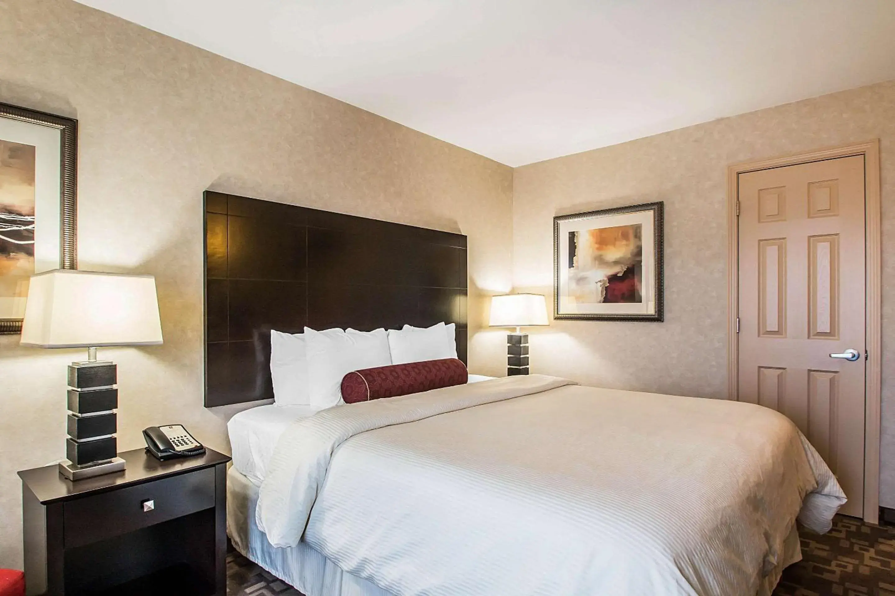 King Room - Non-Smoking in Clarion Inn Elmhurst - Oak Brook near I-88, I-290, I-294 King Room - Non-Smoking in Clarion Inn Elmhurst - Oak Brook near I-88, I-290, I-294