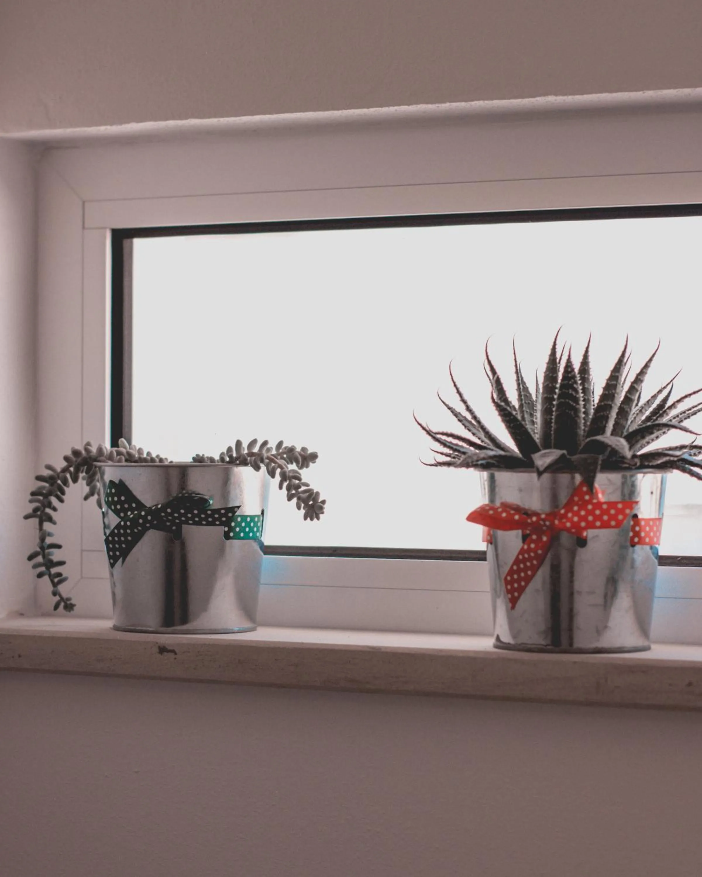 Floor plan in ALMAS ROOMS