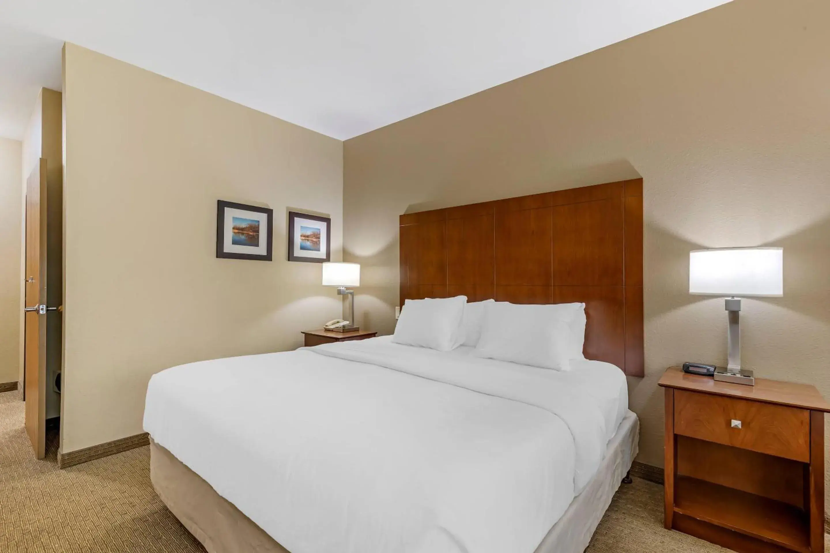 King Room with Roll-In Shower - Accessible/Non-Smoking in Comfort Inn & Suites East Moline near I-80 King Room with Roll-In Shower - Accessible/Non-Smoking in Comfort Inn & Suites East Moline near I-80