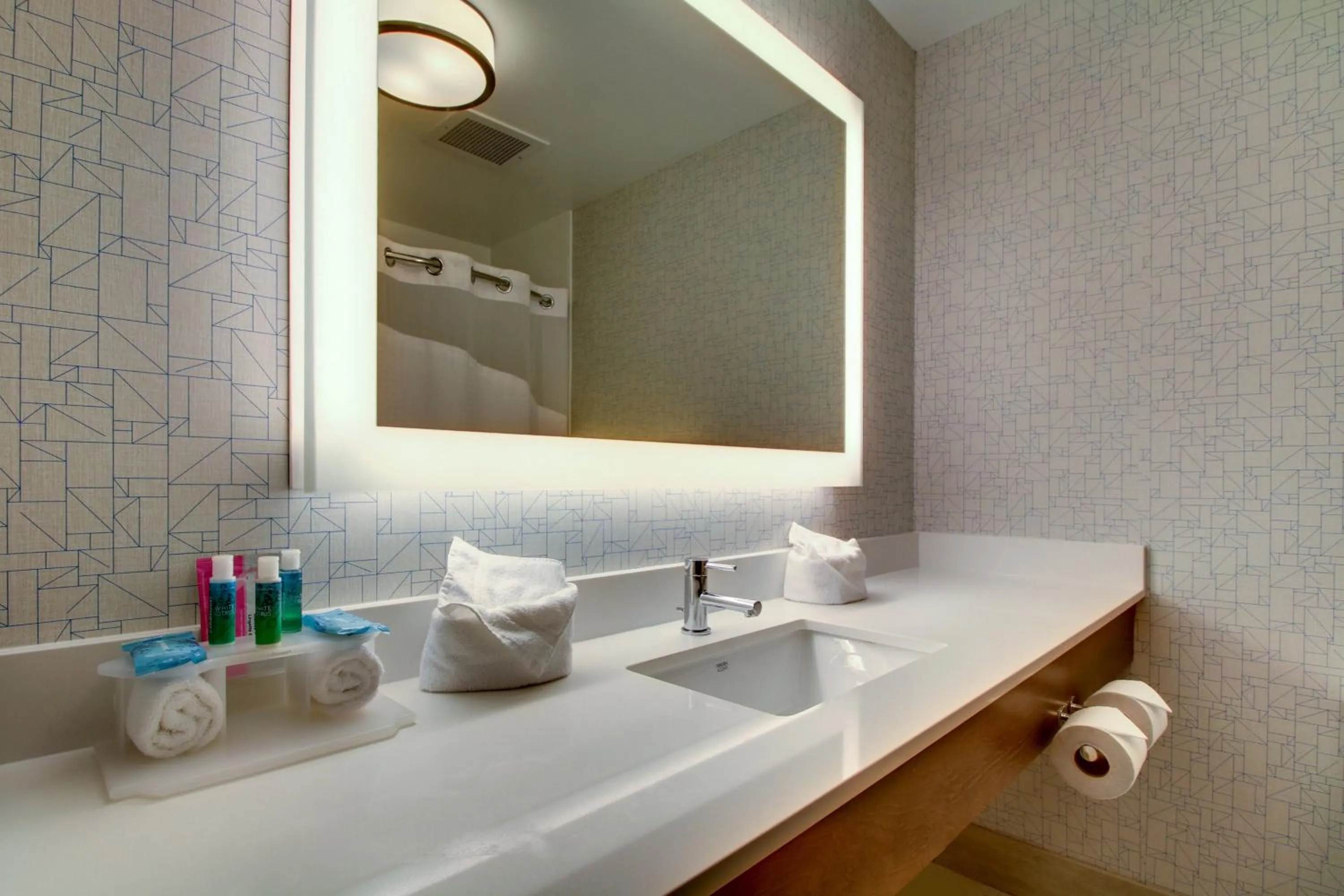 Bathroom in Holiday Inn Express & Suites Aurora - Naperville by IHG
