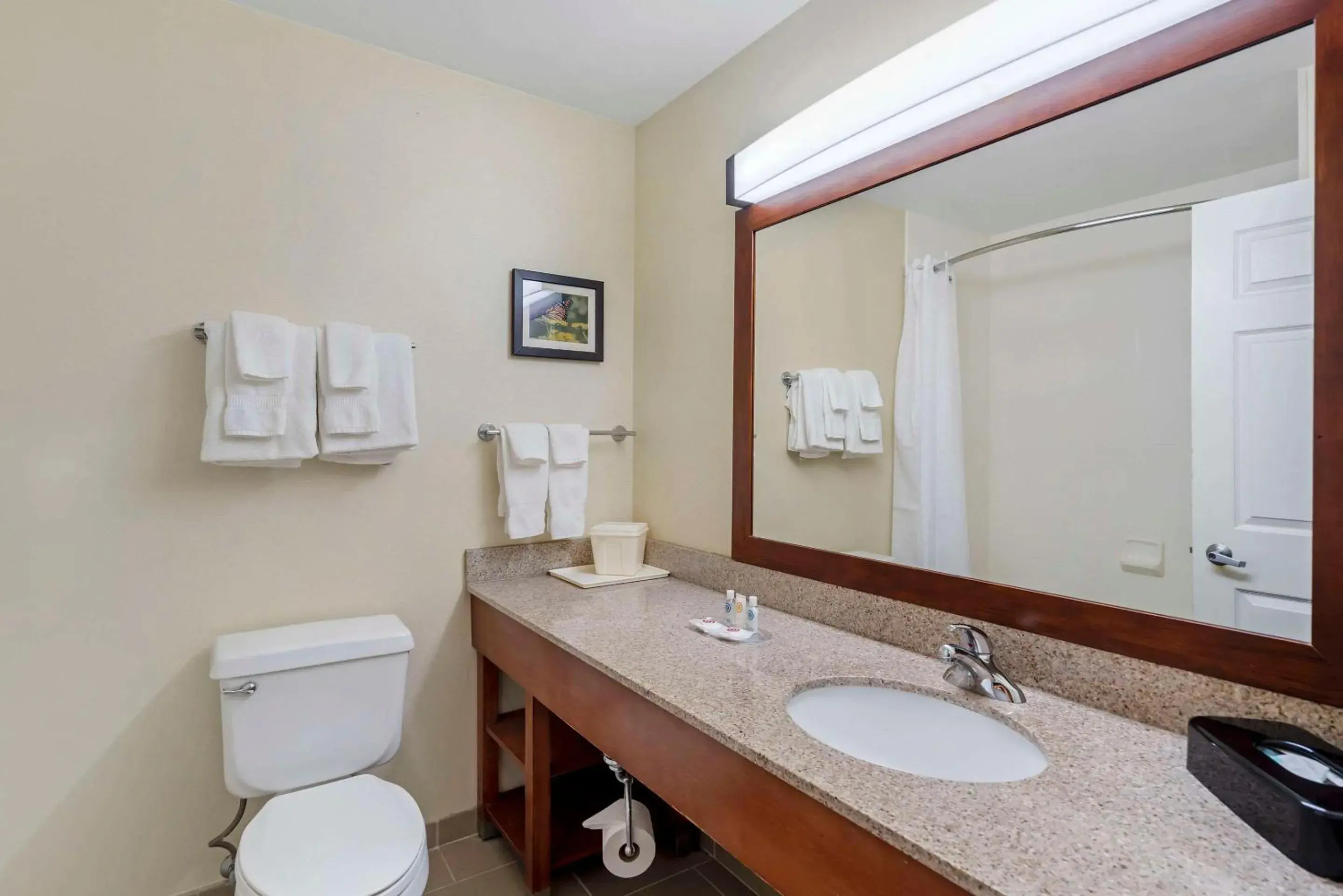 King Suite - Non-Smoking in Comfort Suites Normal University area King Suite - Non-Smoking in Comfort Suites Normal University area