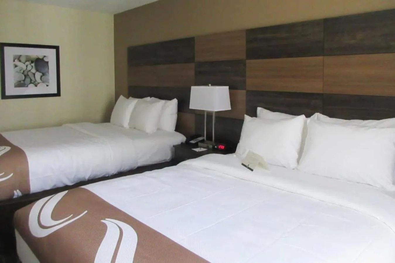 Bed in Quality Inn and Conference Center