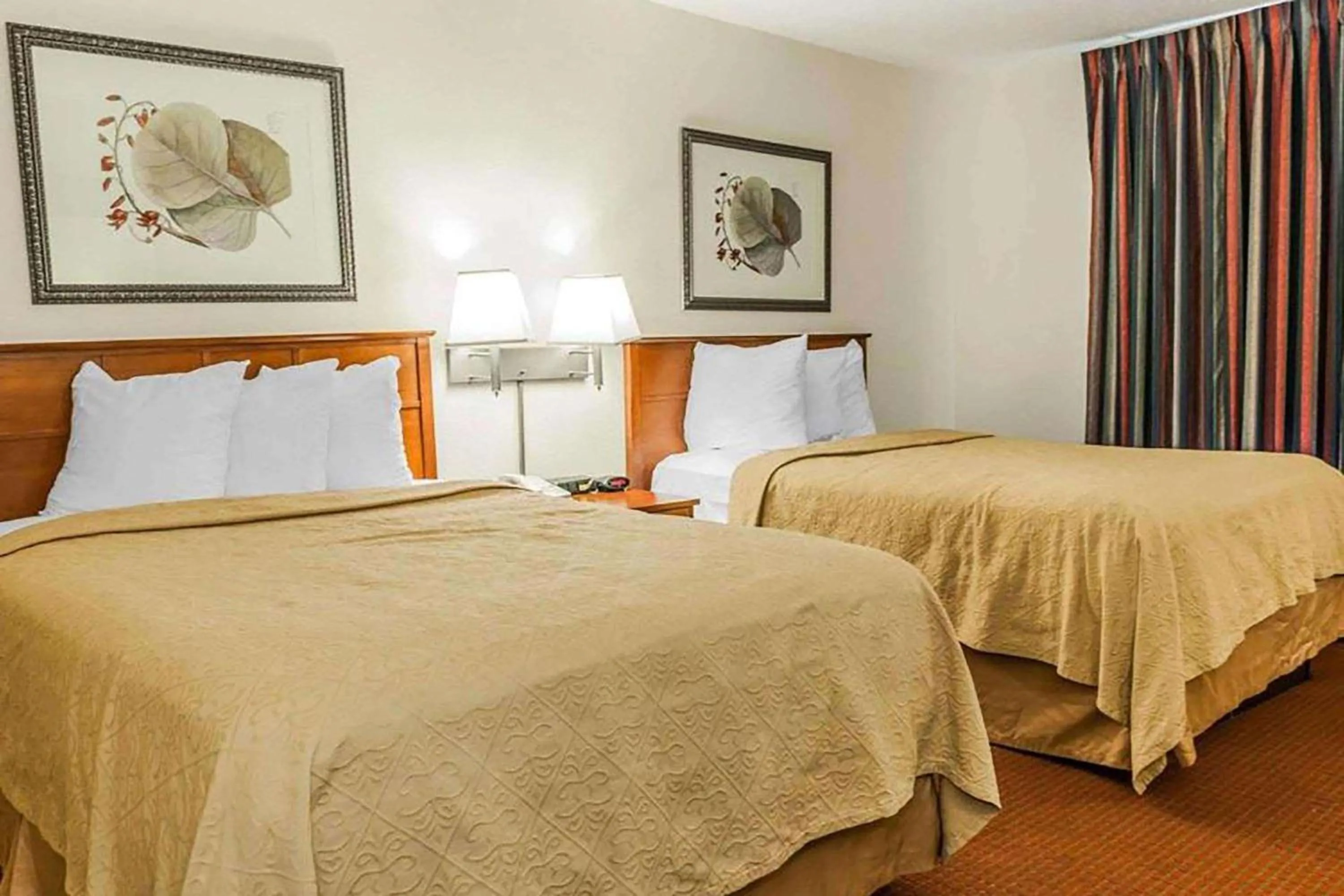 Photo of the whole room, Bed in Baymont by Wyndham Indianapolis East