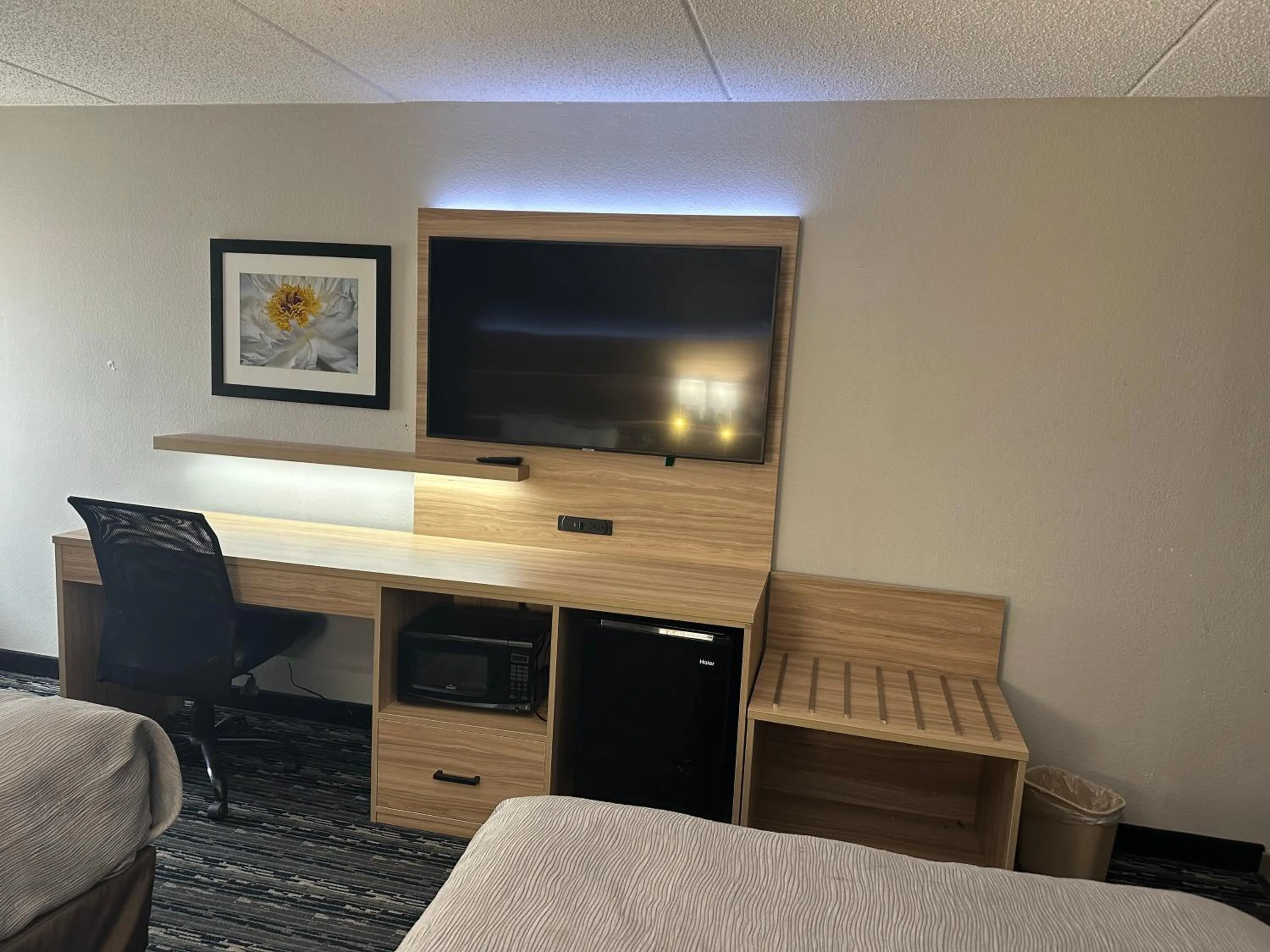 TV and multimedia in Quality Inn Rochester South