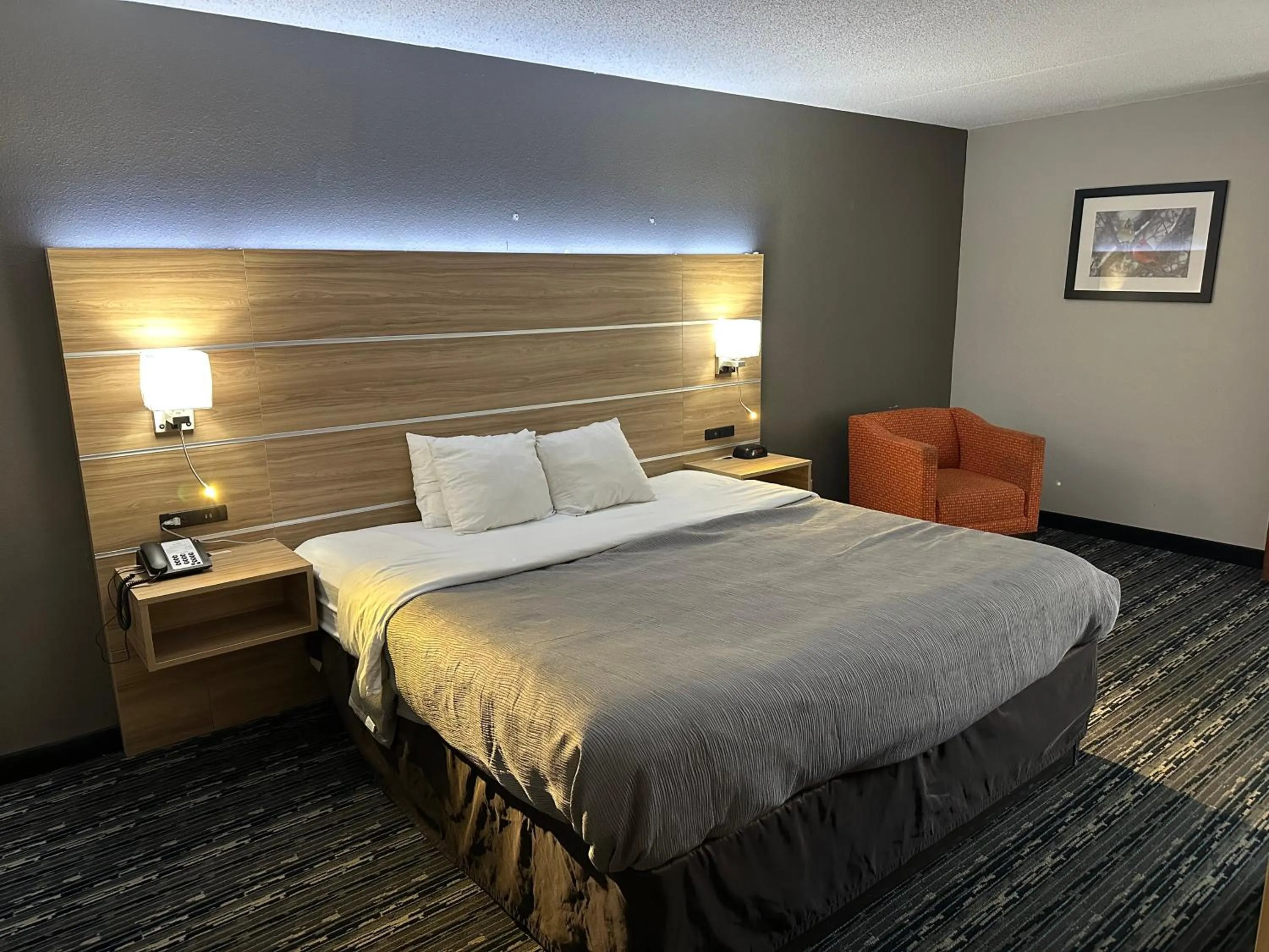 Bedroom, Bed in Quality Inn Rochester South