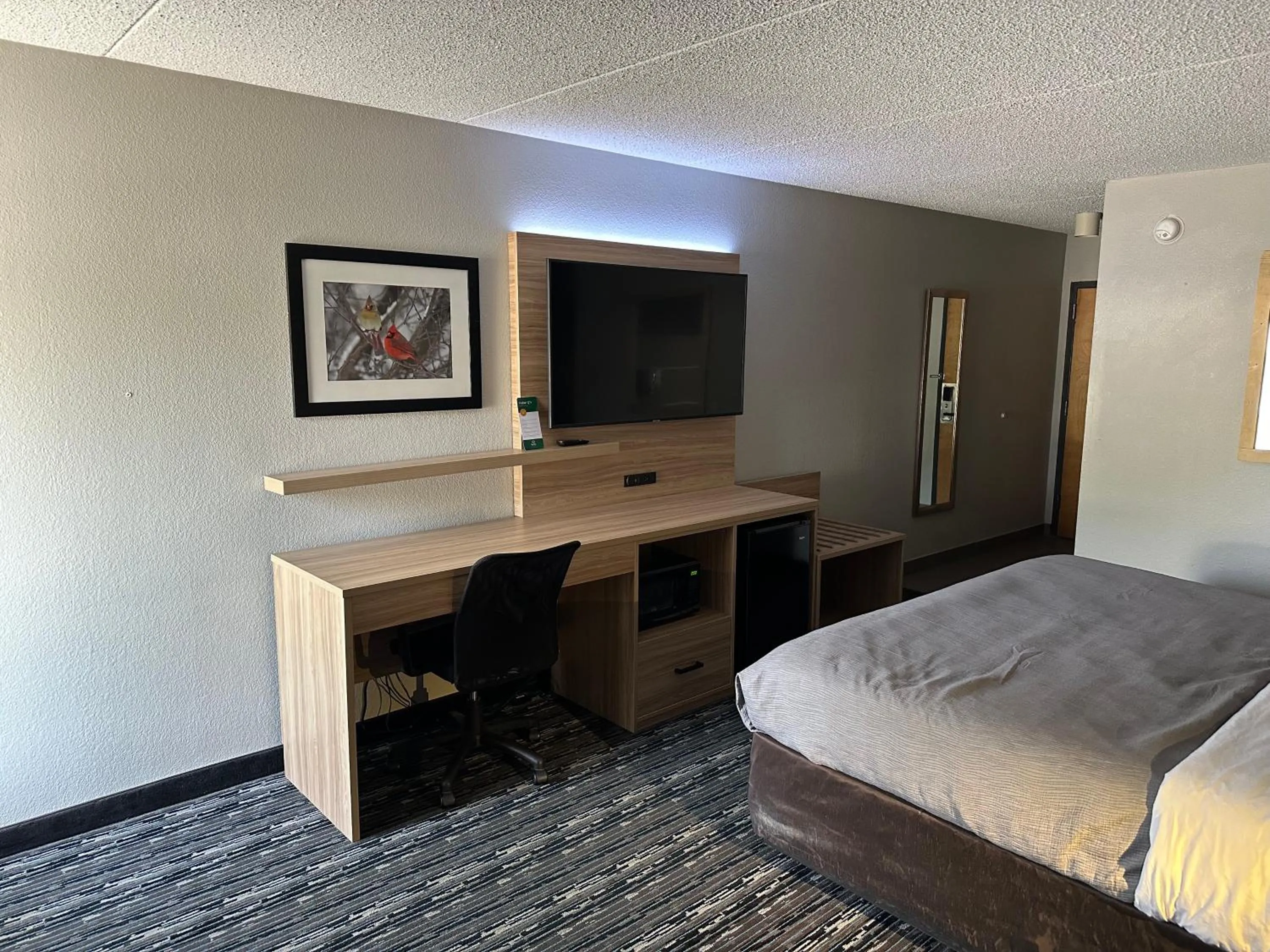TV and multimedia, Bed in Quality Inn Rochester South
