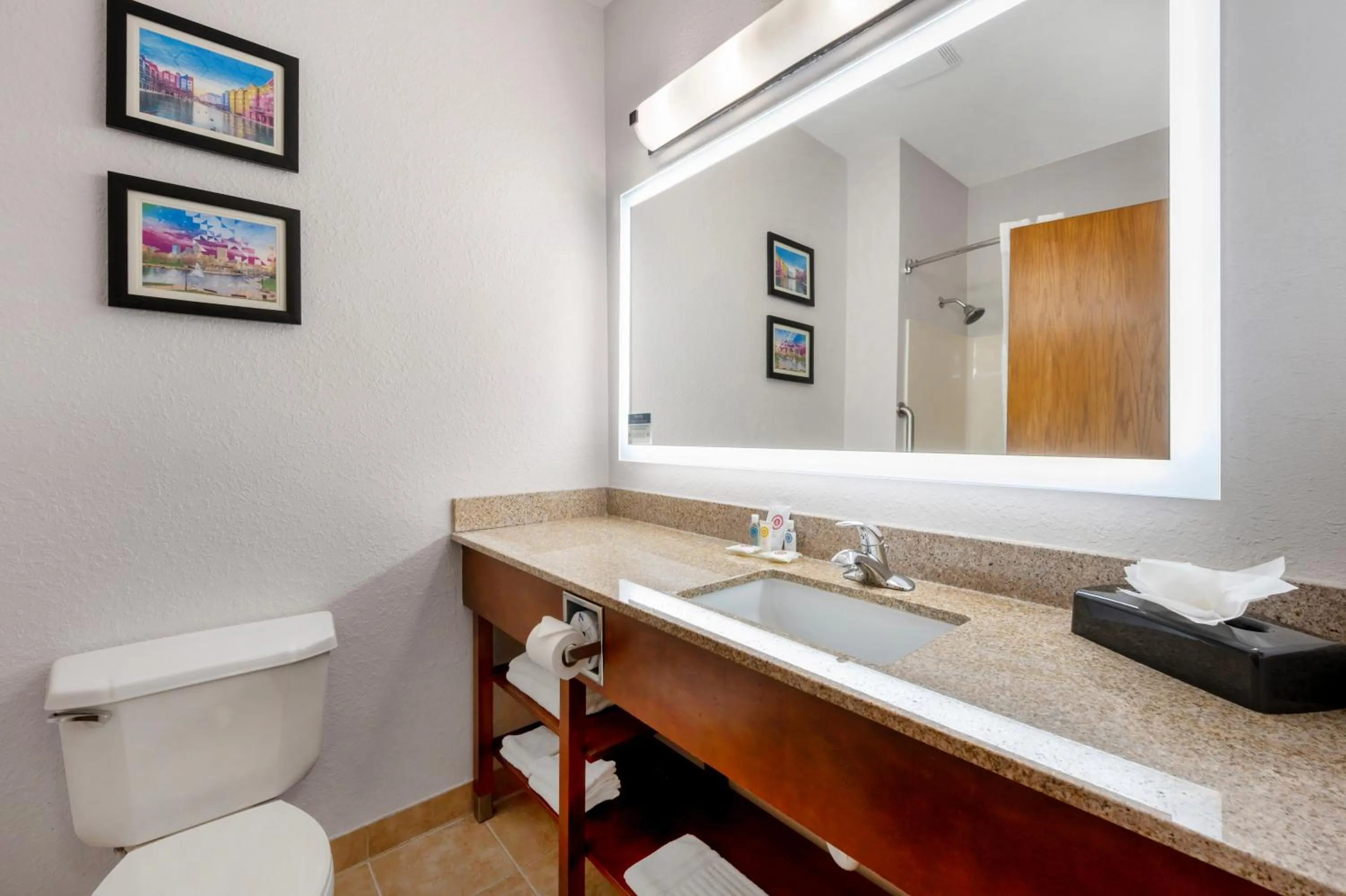 Bathroom in Comfort Inn & Suites North Greenfield