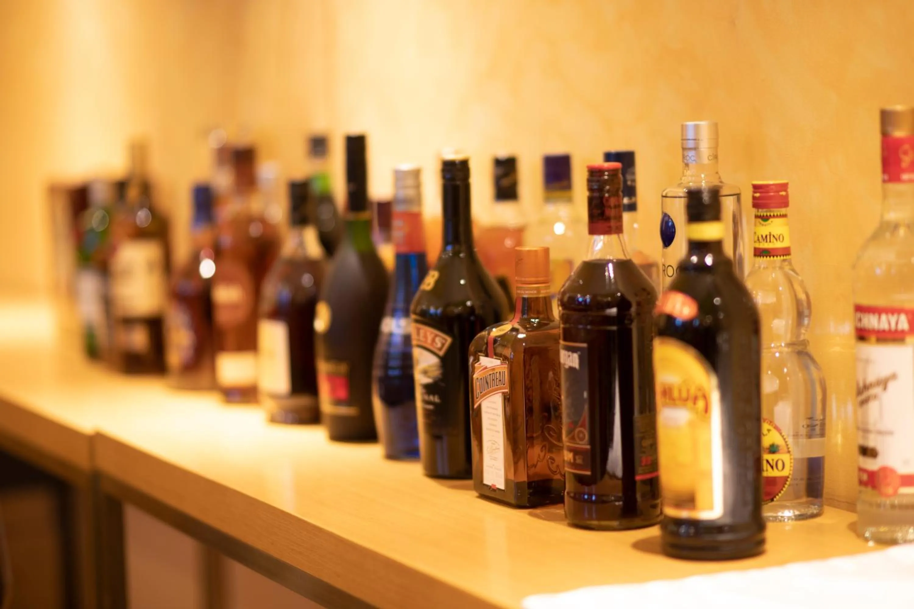 Lounge or bar in Vamos Addis Hotel