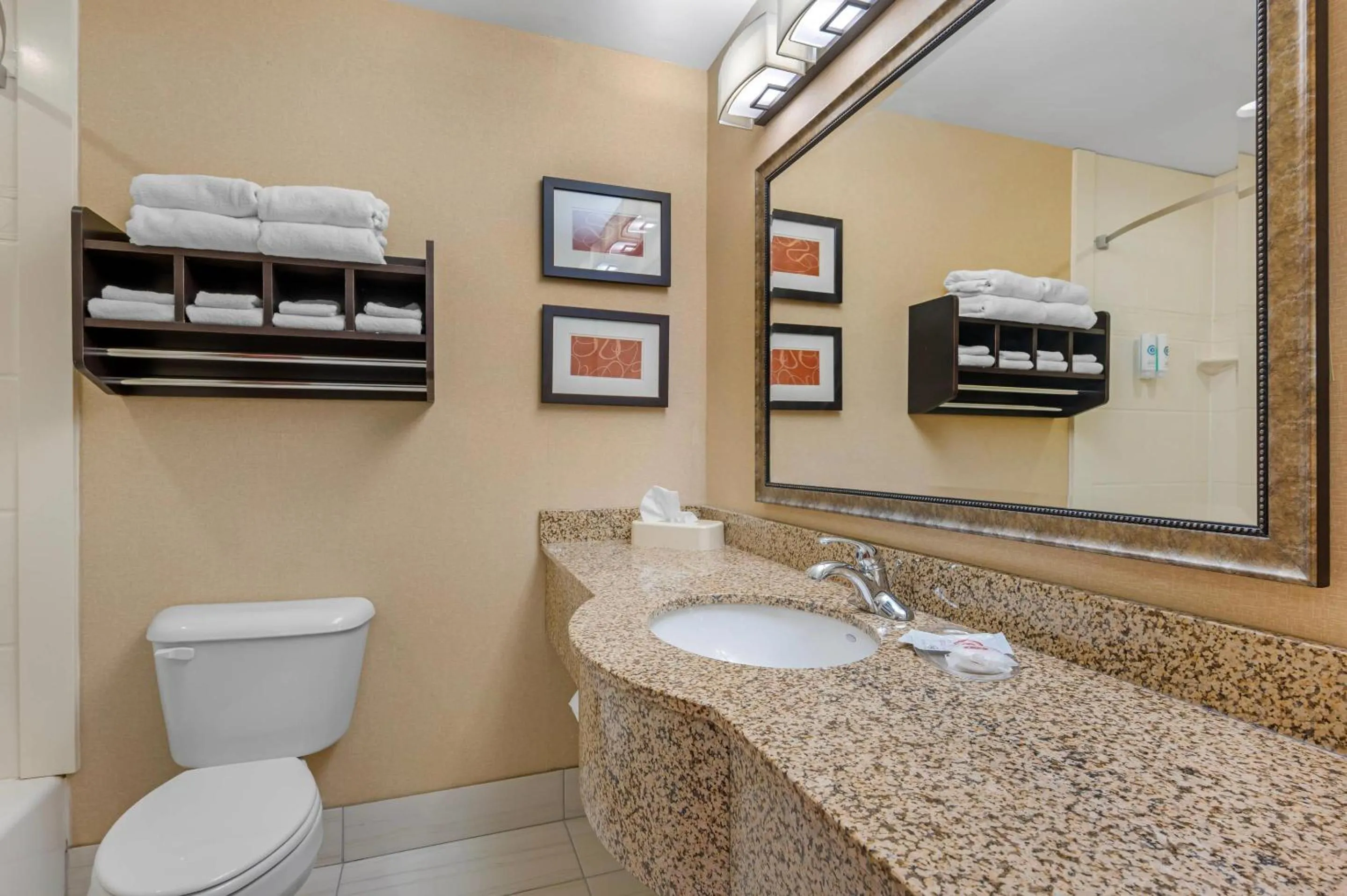 Bedroom in Comfort Suites South Bend Near Casino