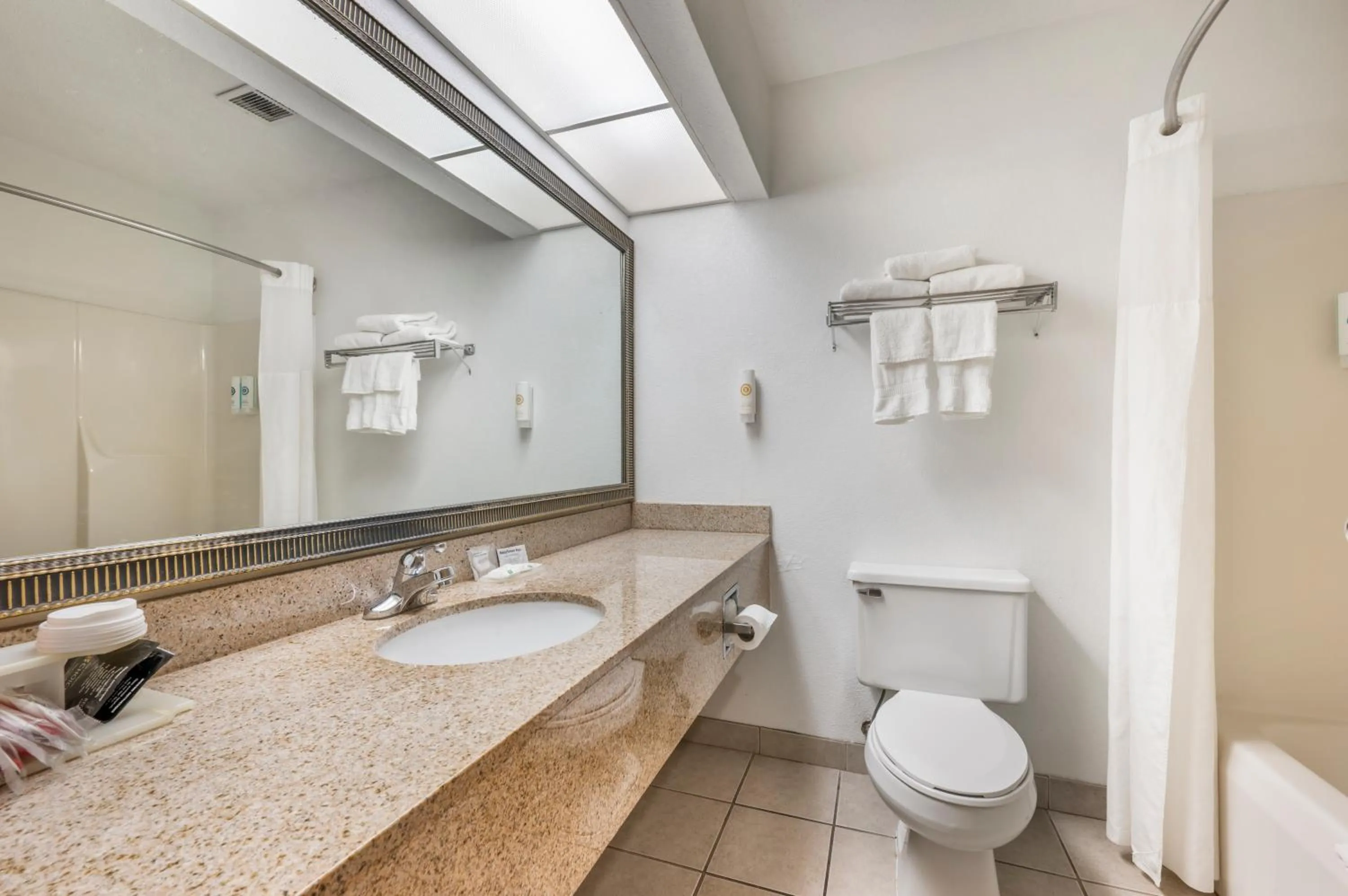 Bathroom in Quality Inn & Suites Near Amish Country