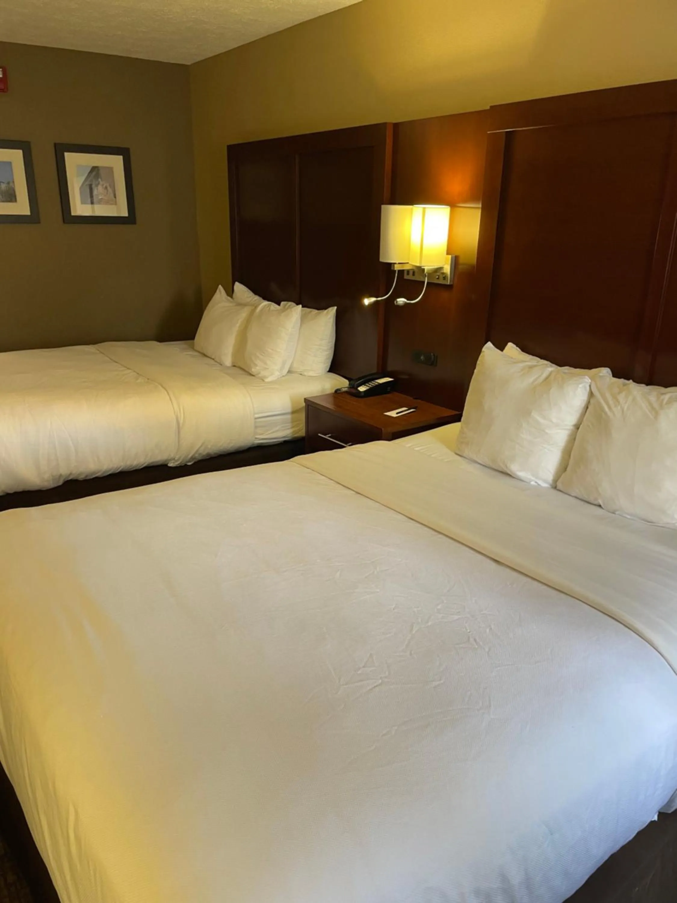 Bed in Comfort Inn Indianapolis South I-65