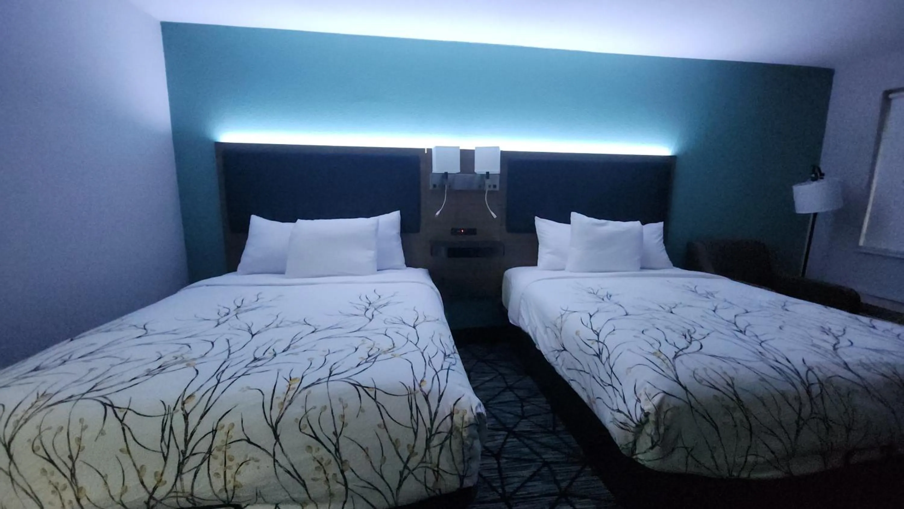 Bed in Baymont by Wyndham South Bend Near Notre Dame