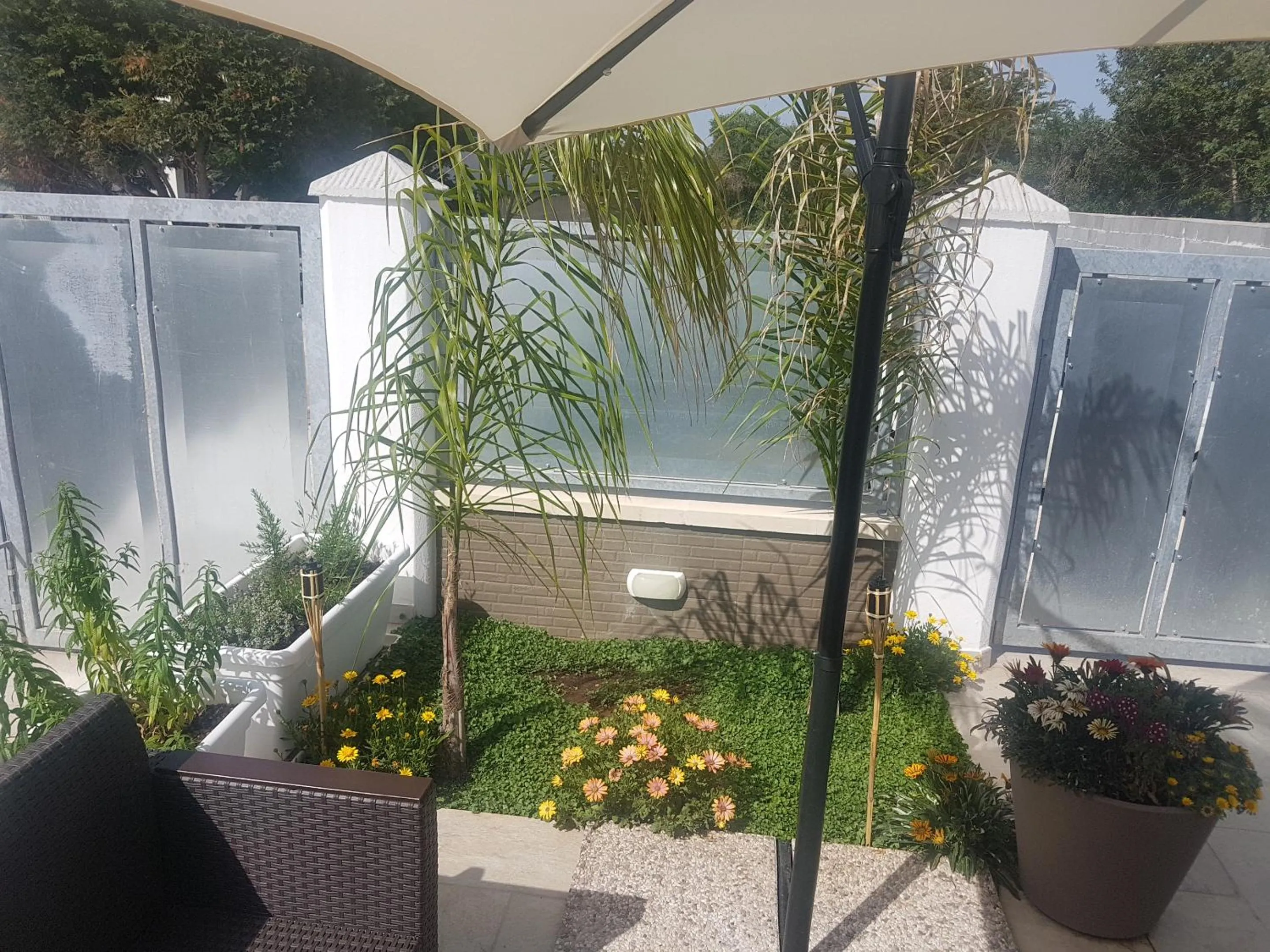 Garden in B&B villa brezza marina