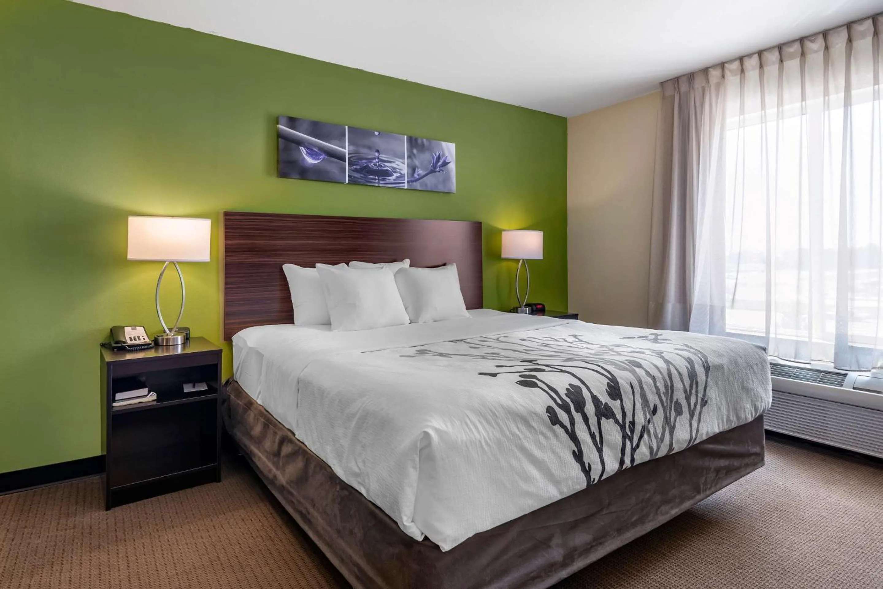 Bedroom, Bed in Sleep Inn & Suites Oakley I-70