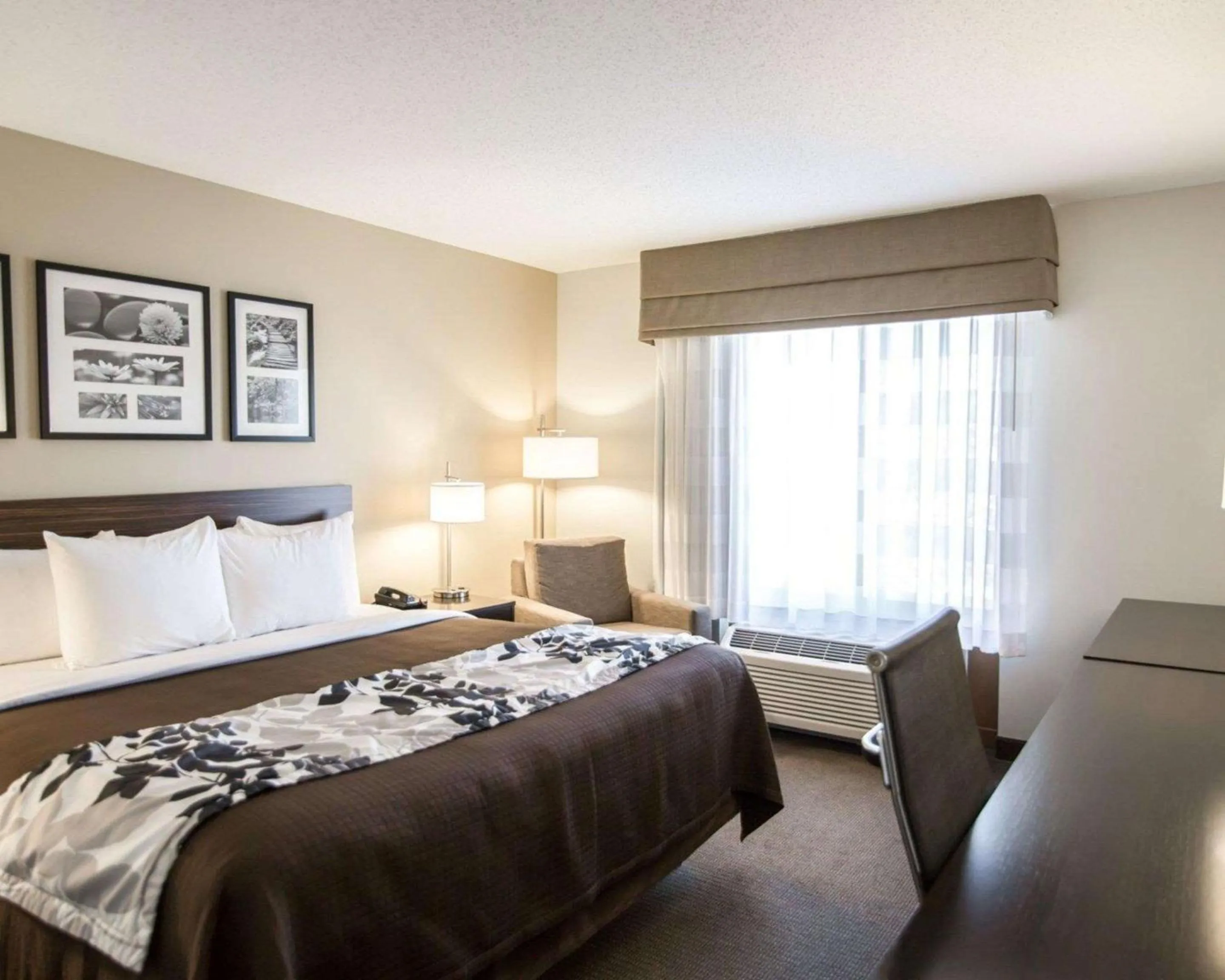 Photo of the whole room, Bed in Sleep Inn & Suites Norton