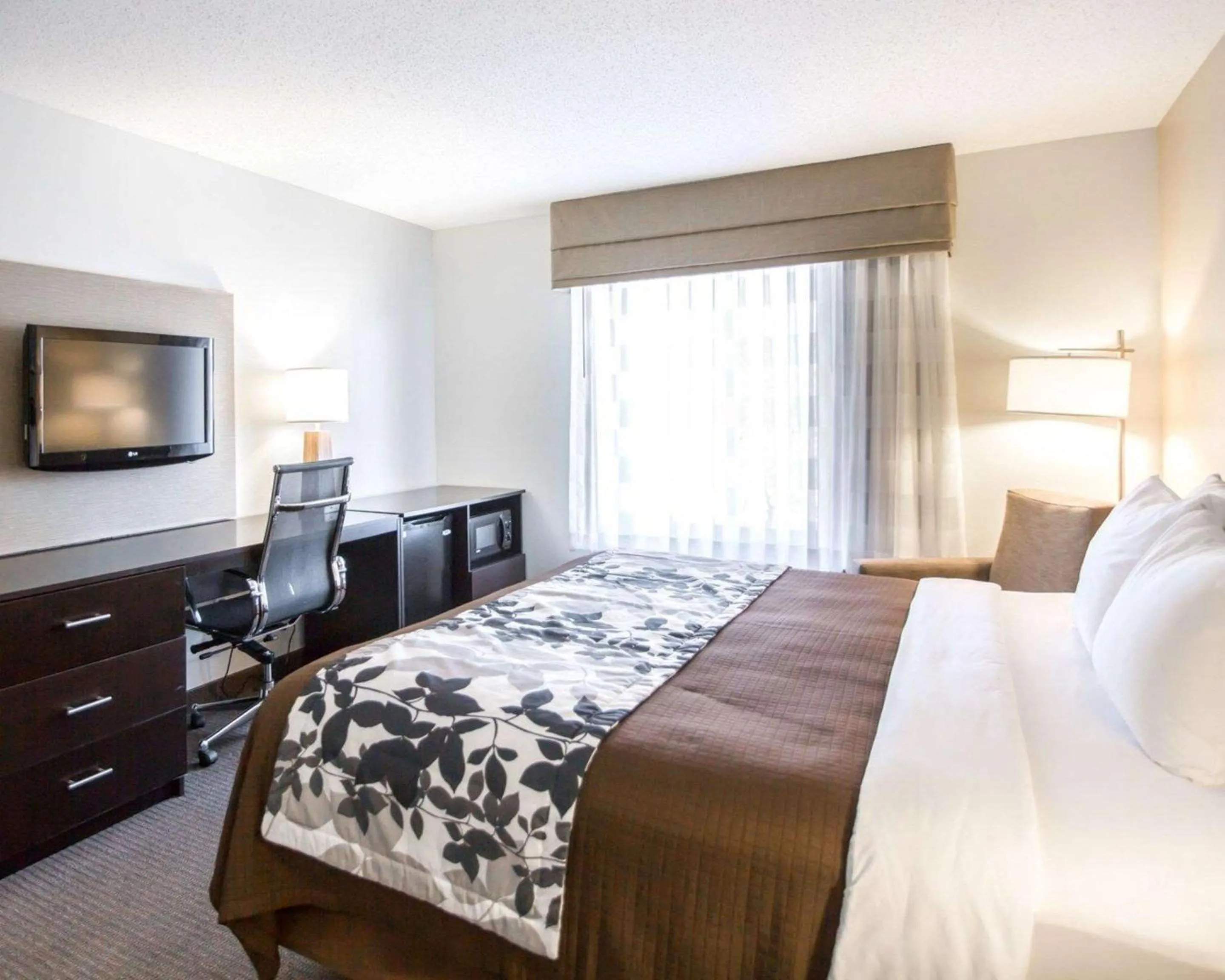 Photo of the whole room, Bed in Sleep Inn & Suites Norton