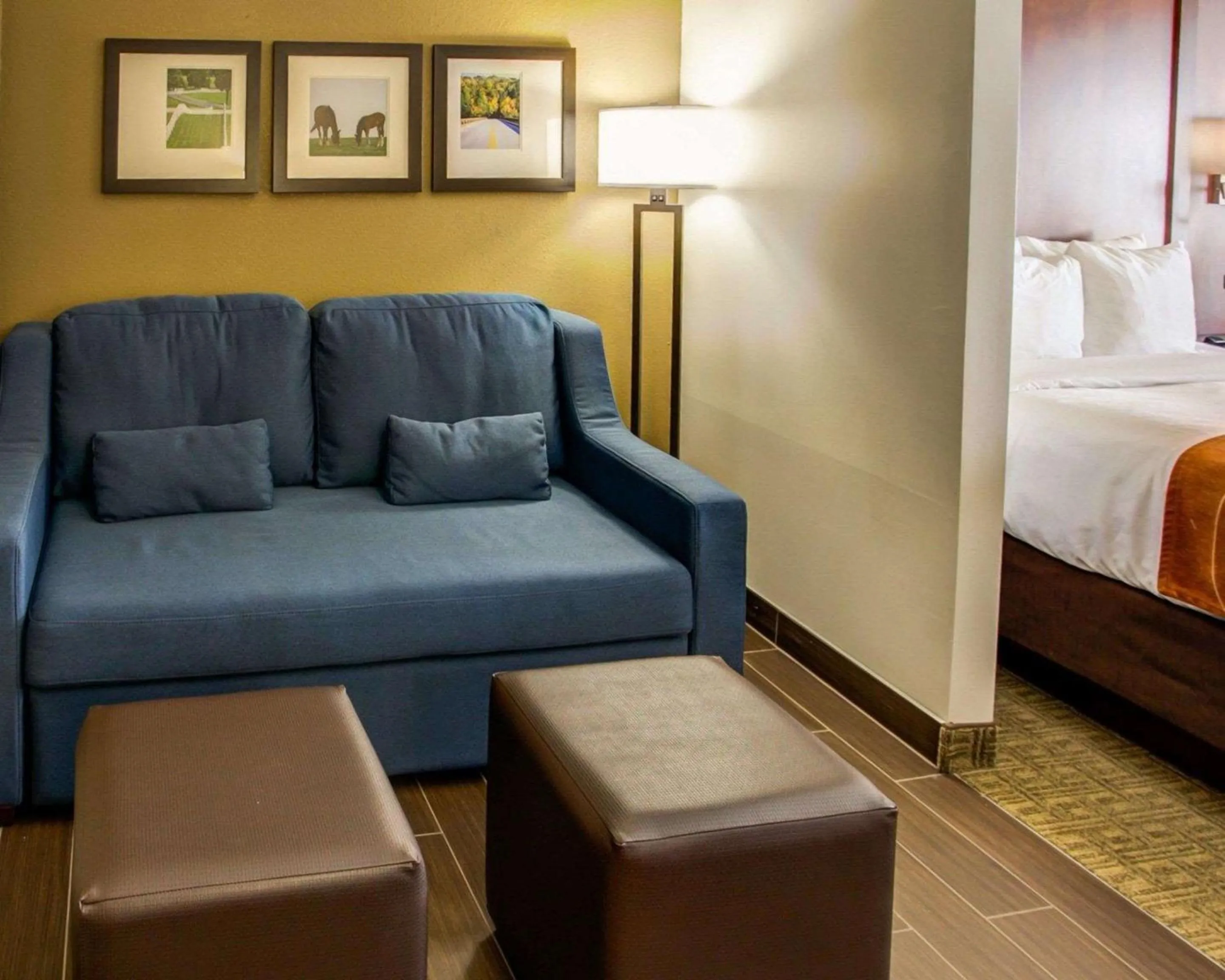 Photo of the whole room, Bed in Comfort Suites Georgetown