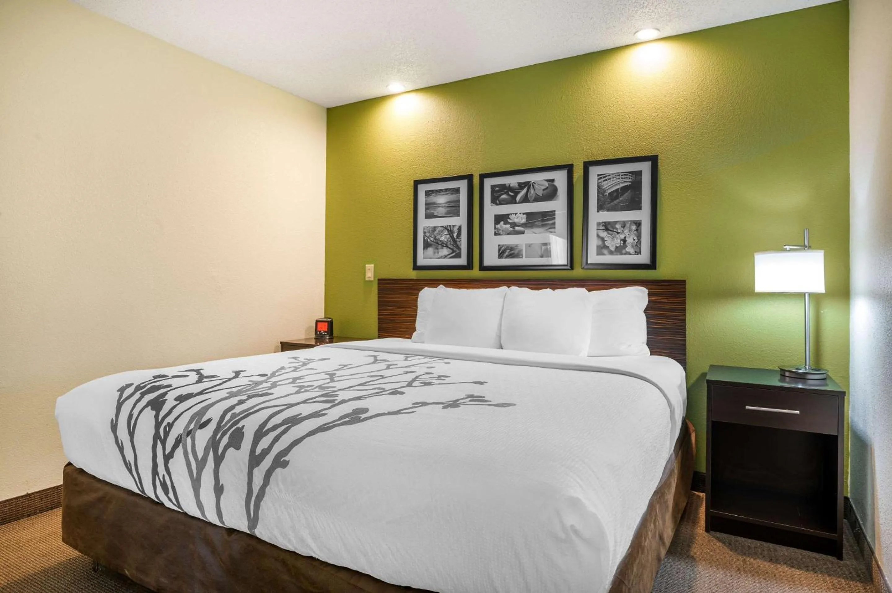 Bedroom, Bed in Sleep Inn Henderson-Evansville South