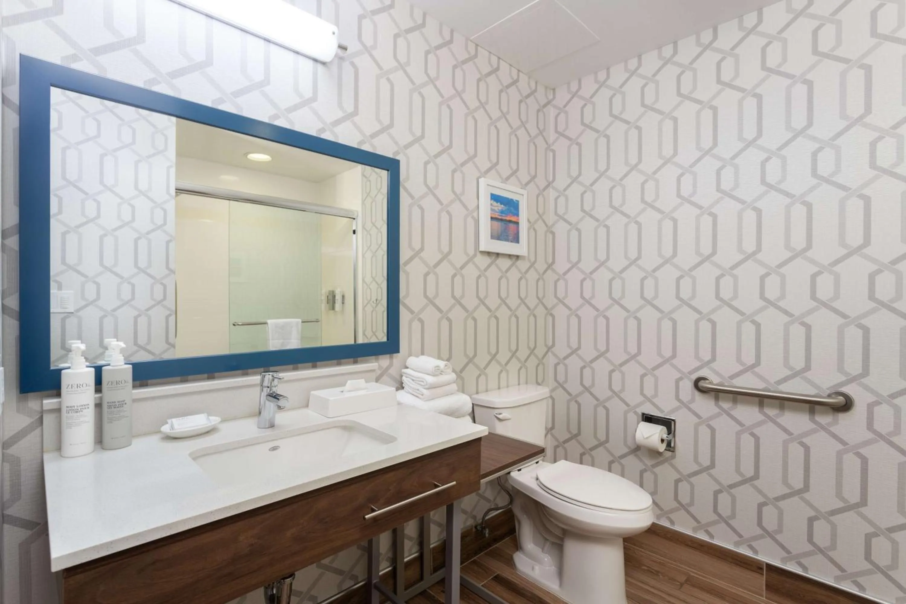 Toilet in Hampton Inn Buffalo-South/I-90