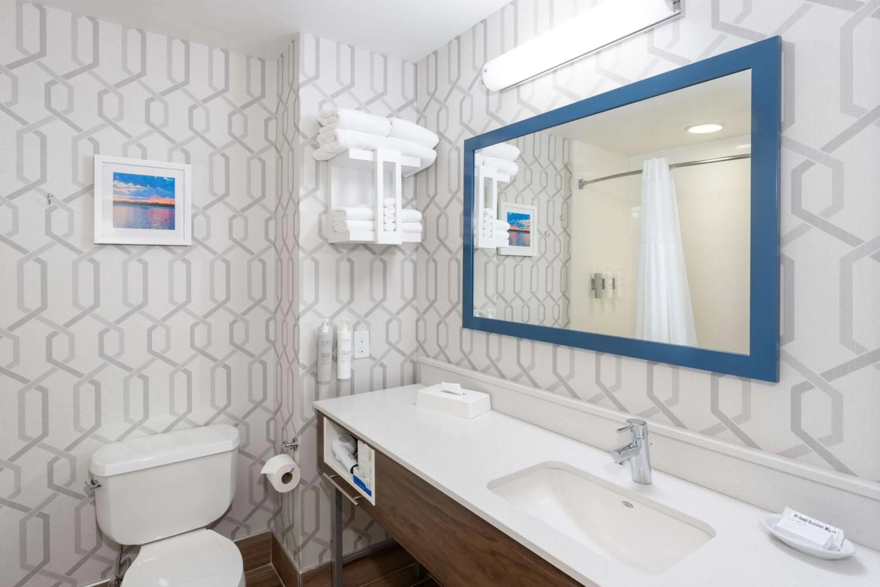 Bathroom in Hampton Inn Buffalo-South/I-90