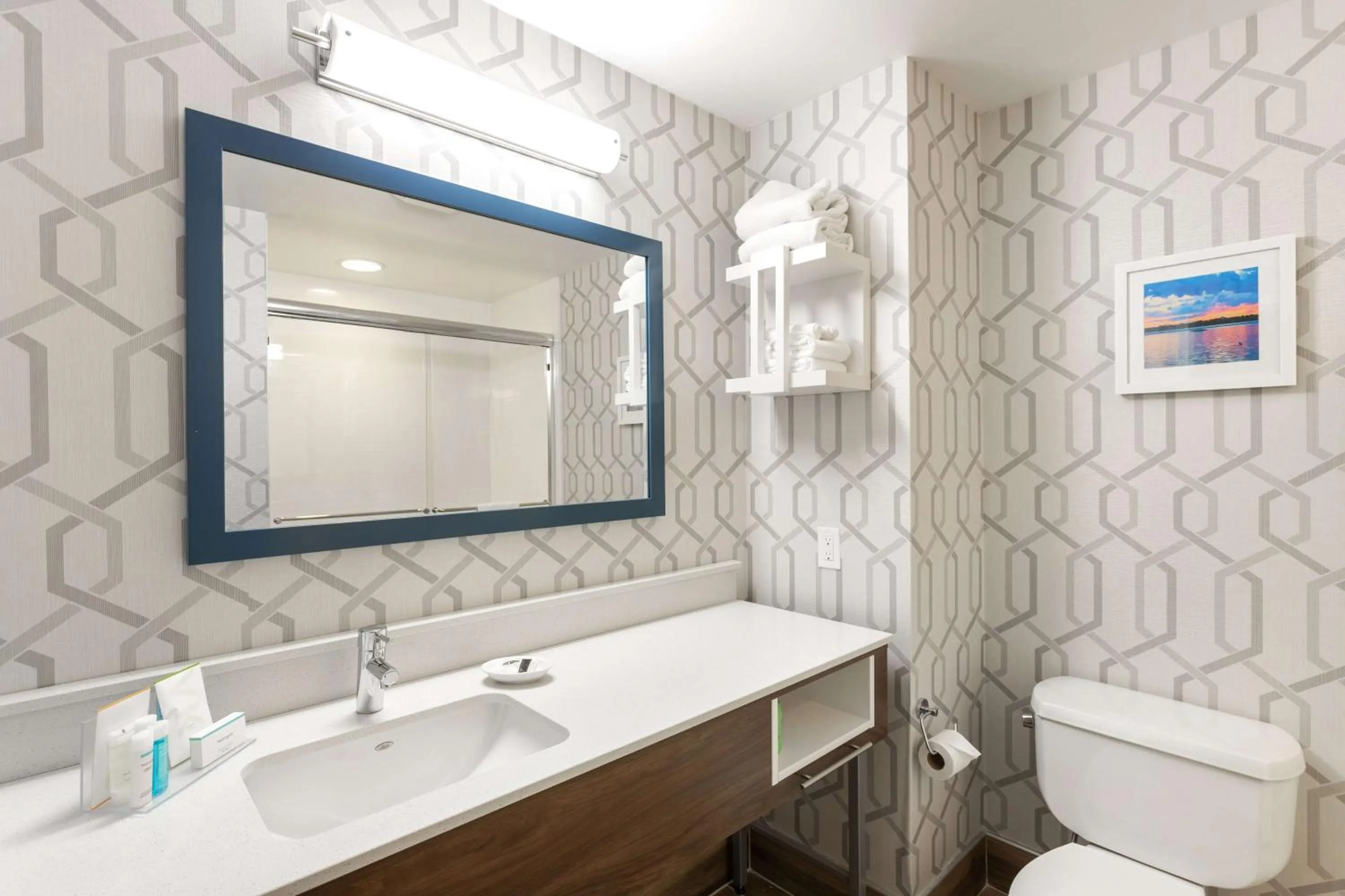 Toilet in Hampton Inn Buffalo-South/I-90