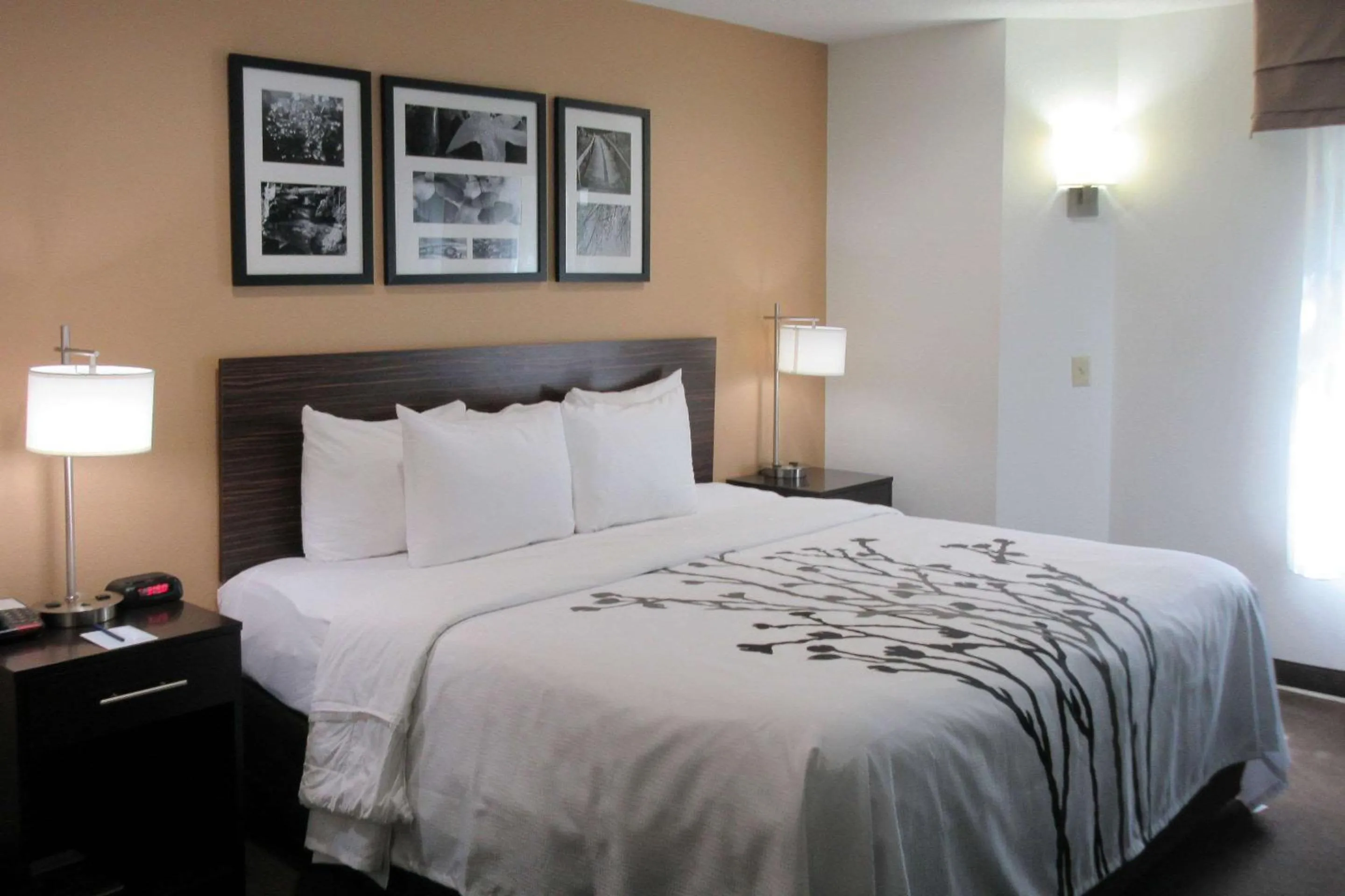 Bedroom, Bed in Sleep Inn