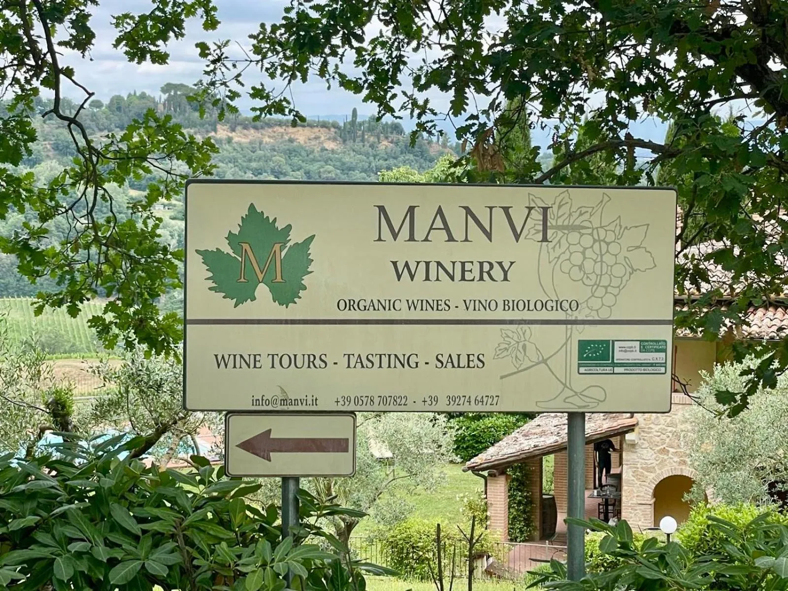 The Grapevine by MANVI