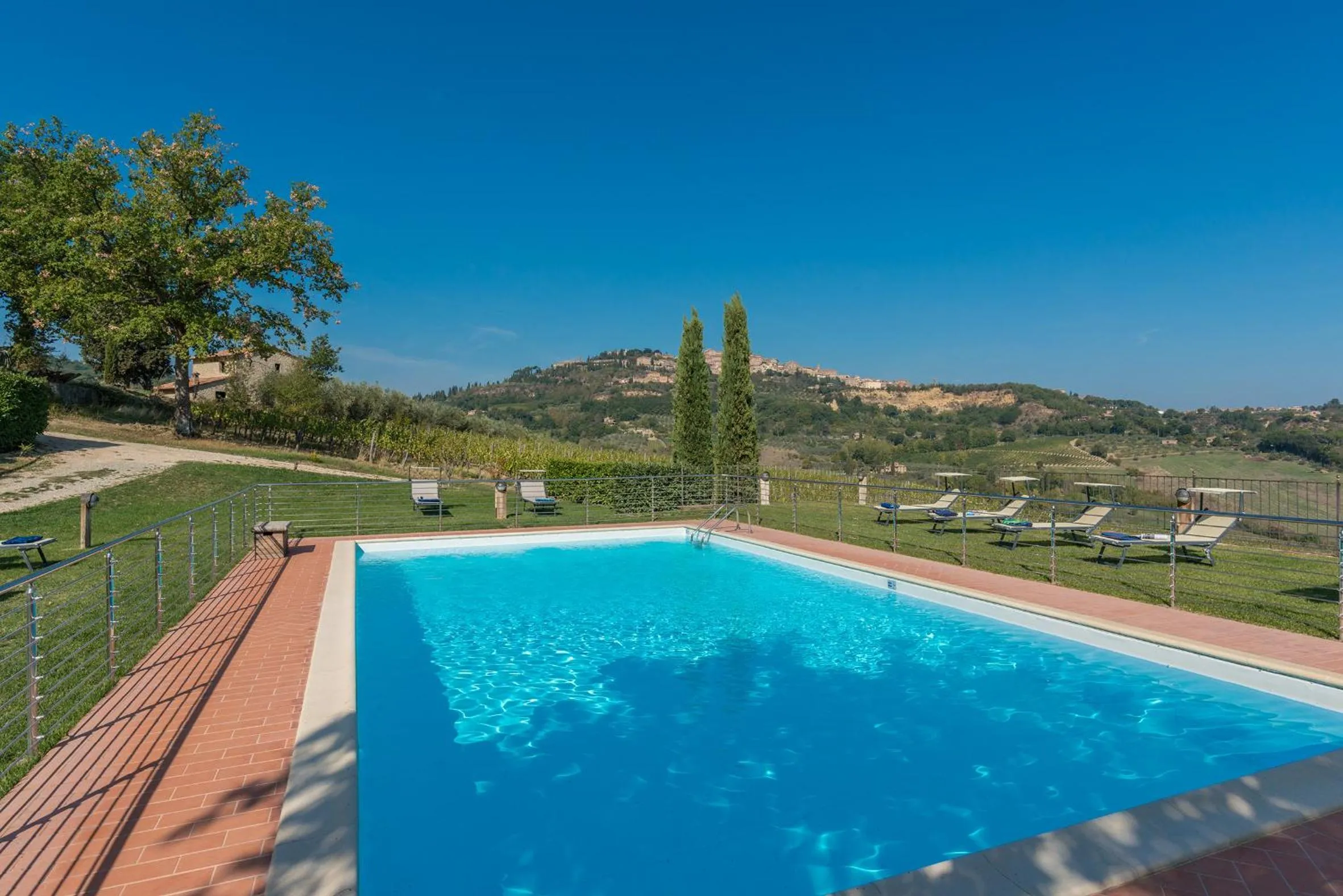 The Grapevine by MANVI