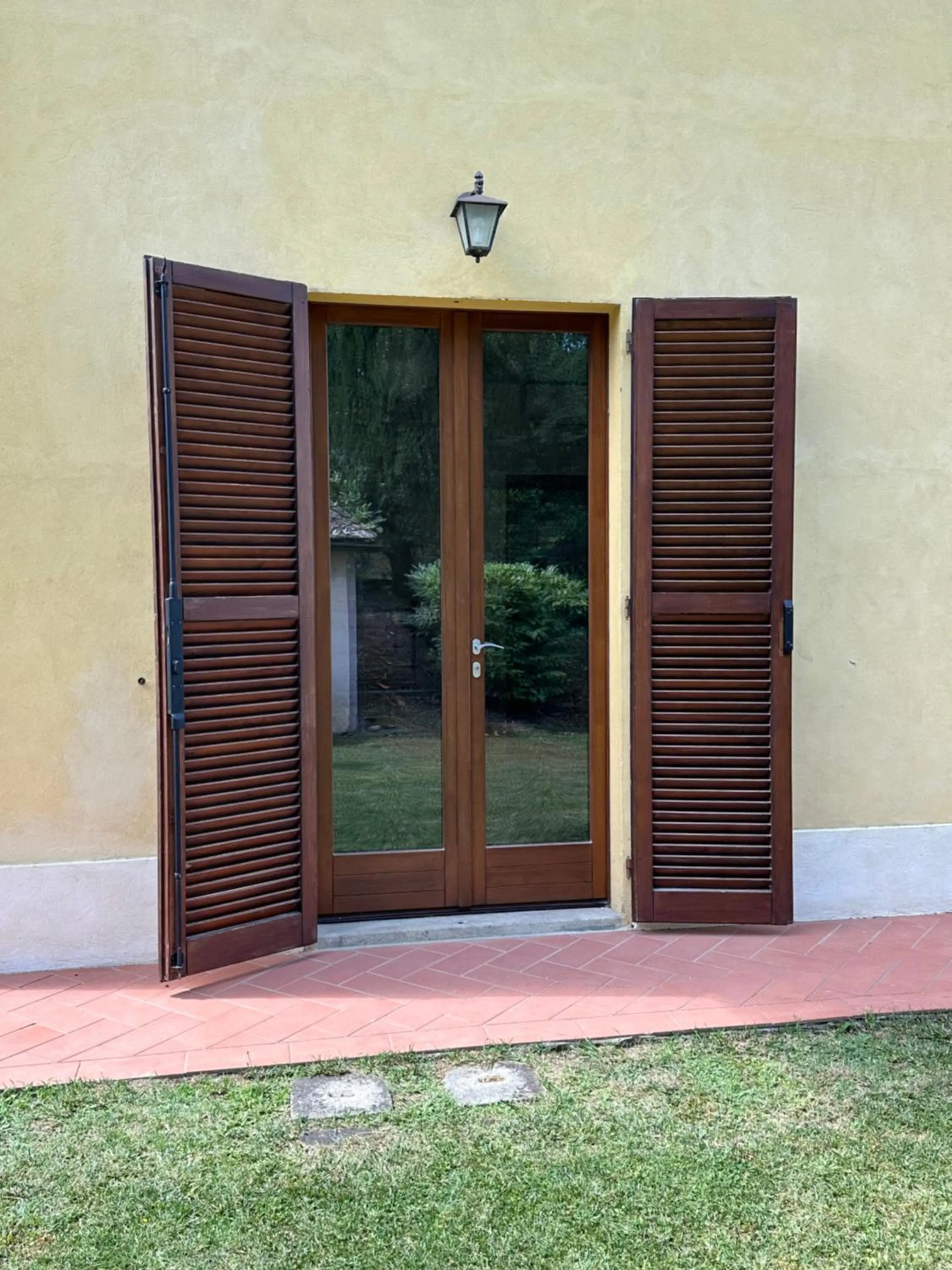 The Grapevine by MANVI