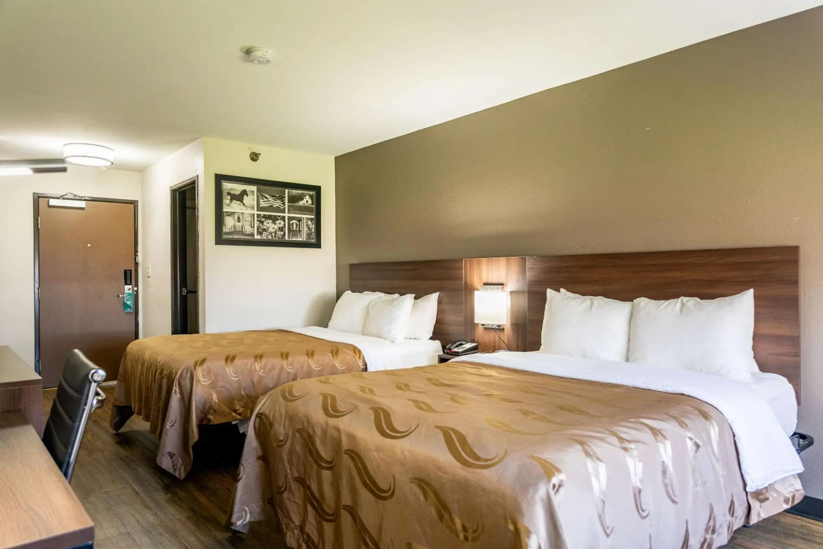 Queen Room with Two Queen Beds - Non-Smoking in Quality Inn Queen Room with Two Queen Beds - Non-Smoking in Quality Inn