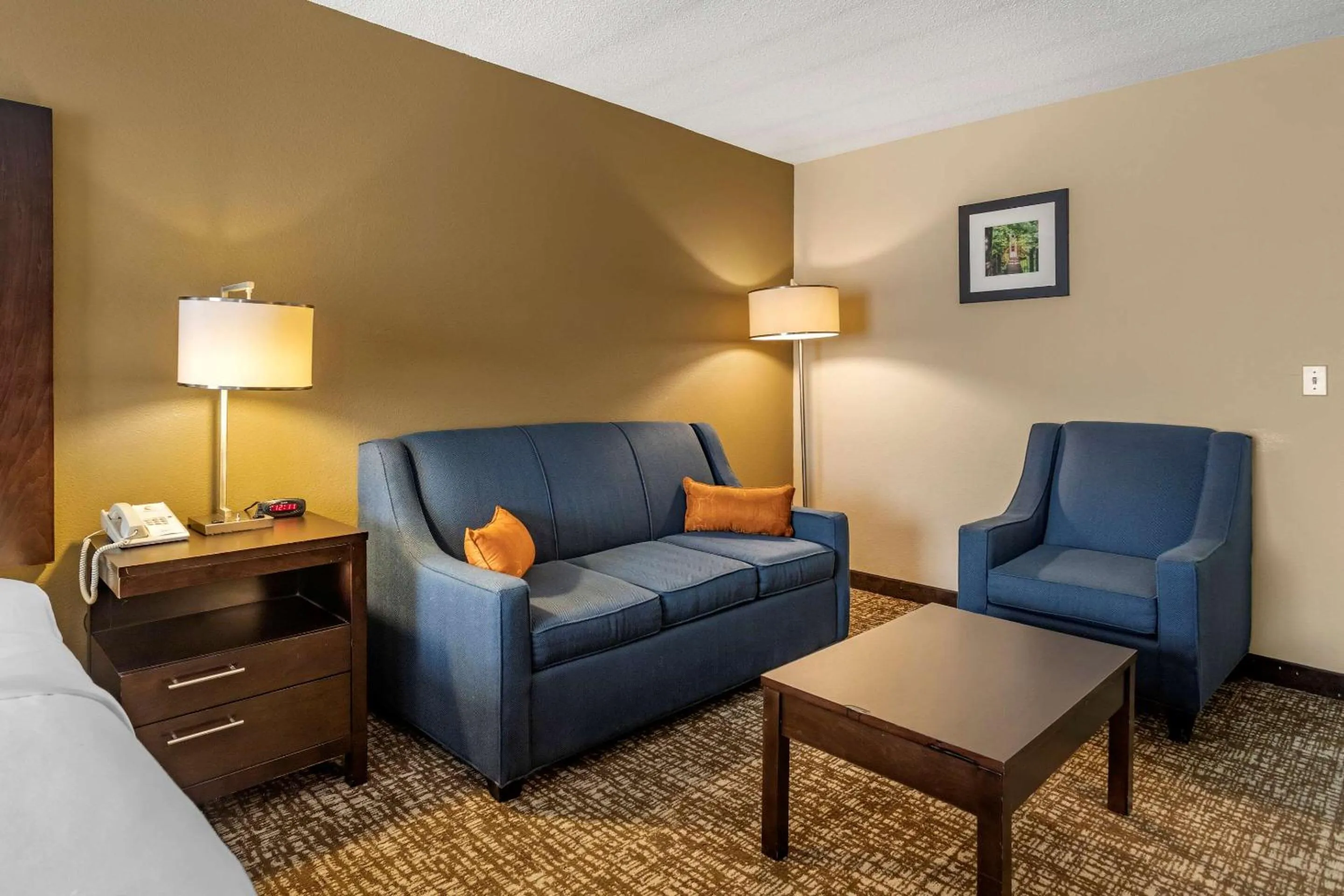 Photo of the whole room in Comfort Inn Paducah I-24