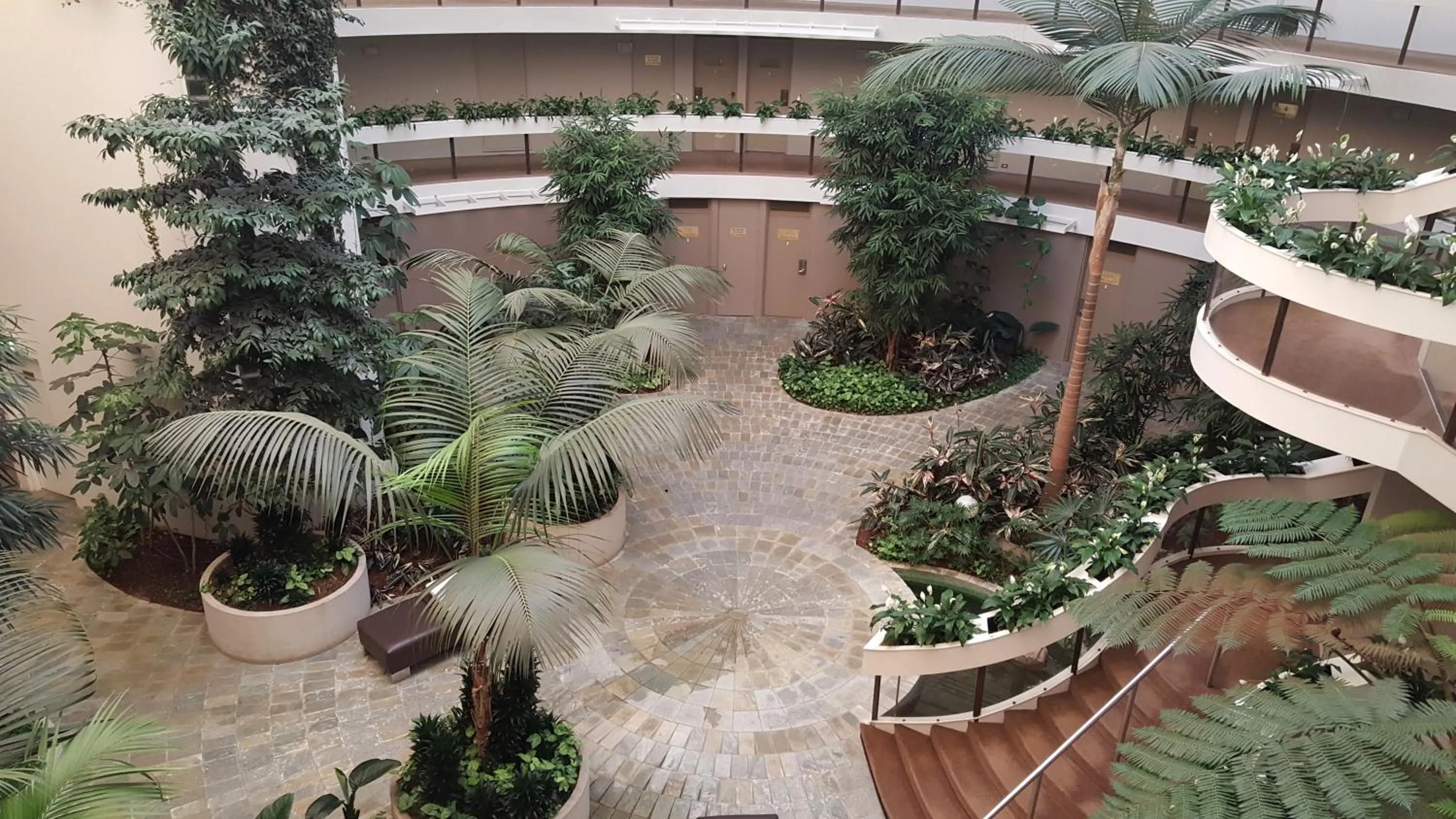 Garden in Pavilion On Northbourne