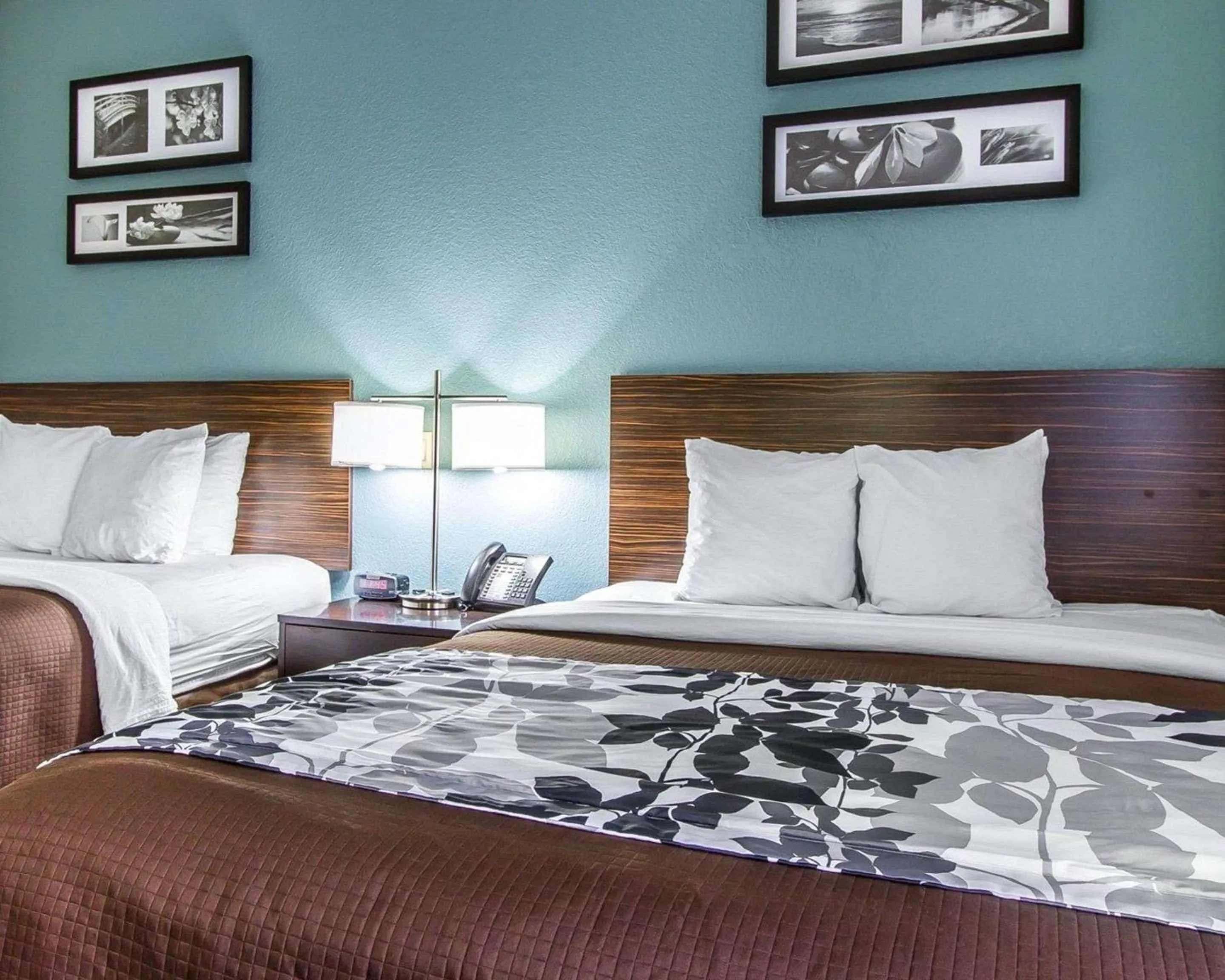 Photo of the whole room in Sleep Inn Scott-Lafayette West