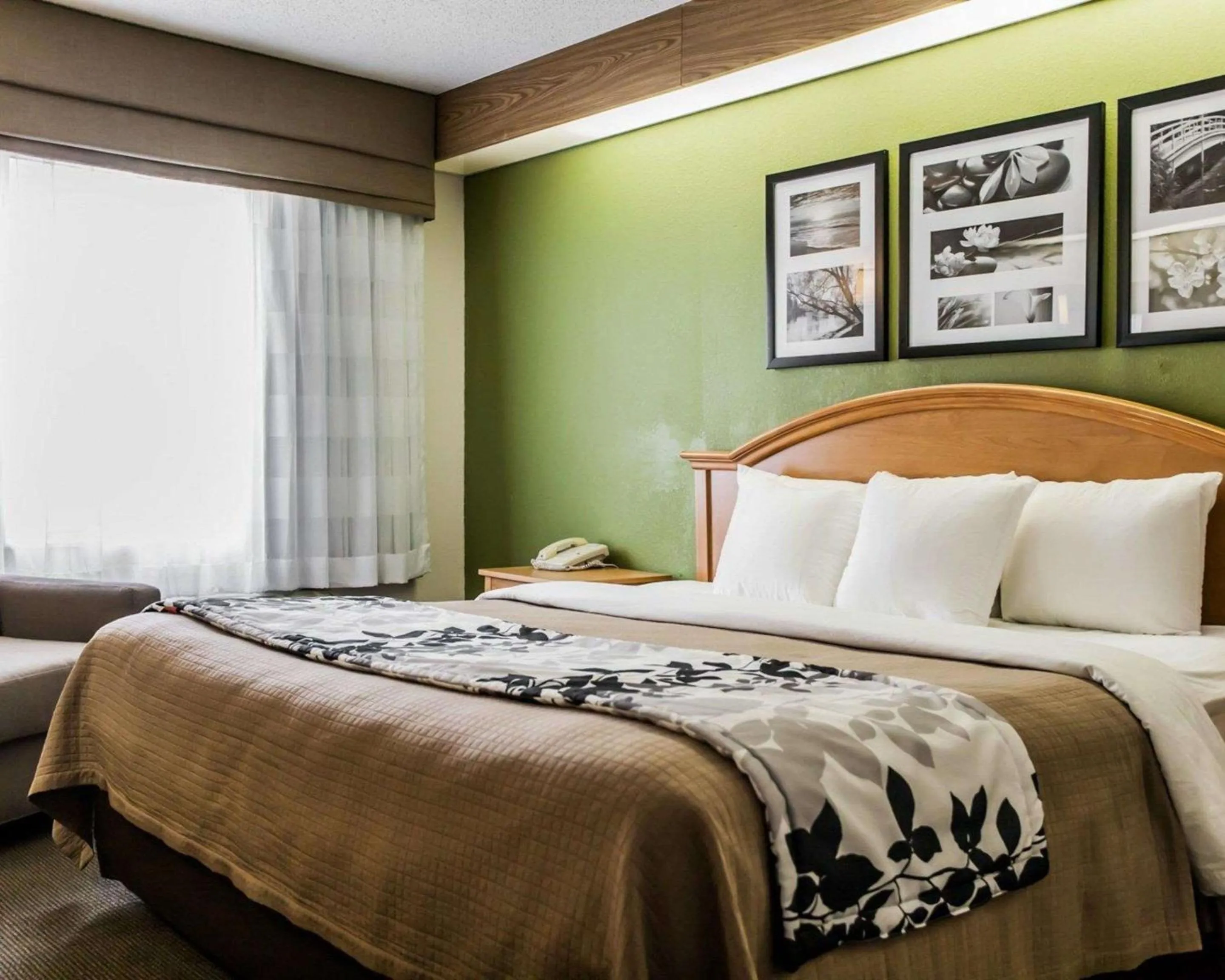 Photo of the whole room, Bed in Sleep Inn Slidell