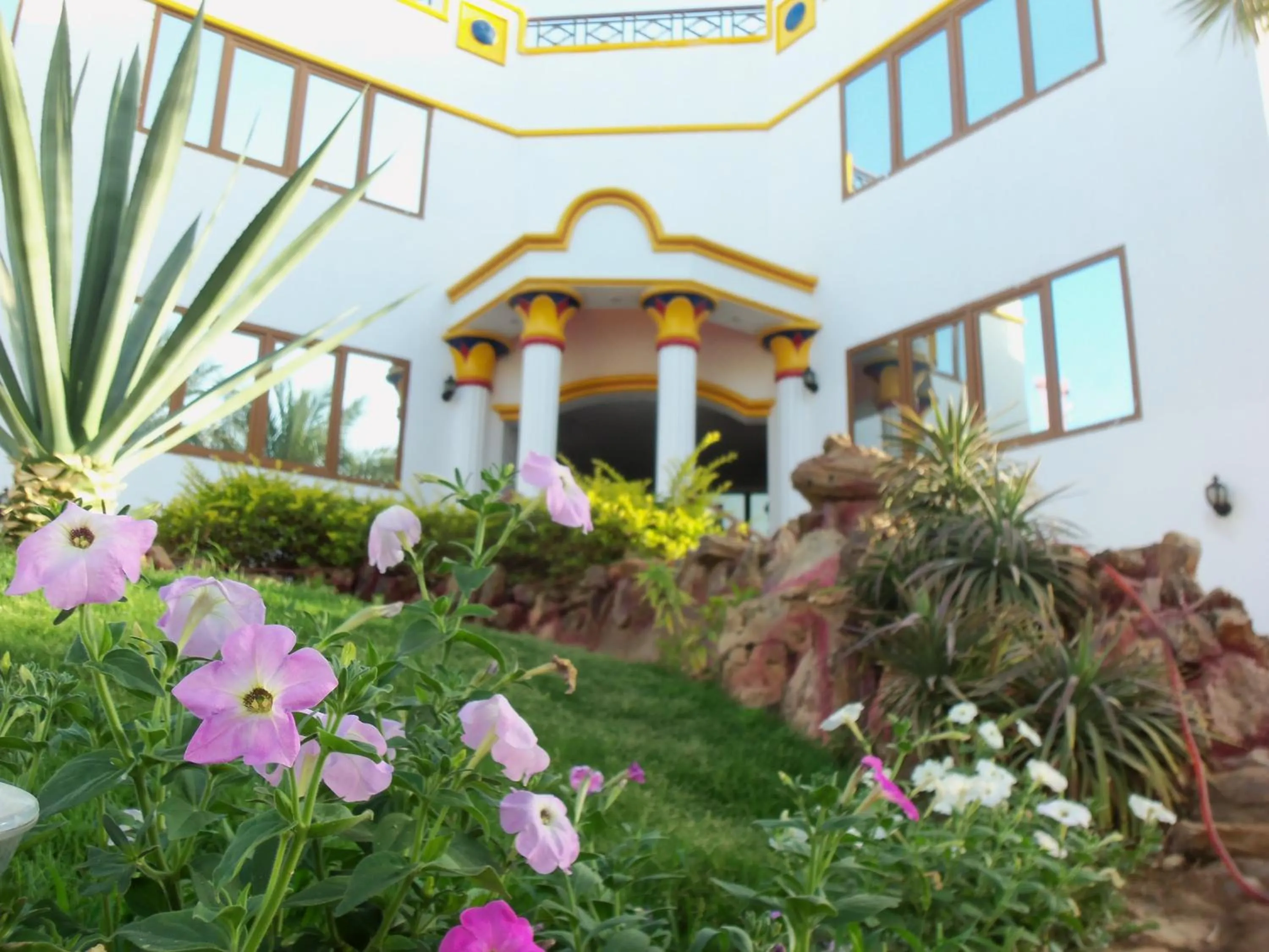 Property building in Gafy Resort Aqua Park