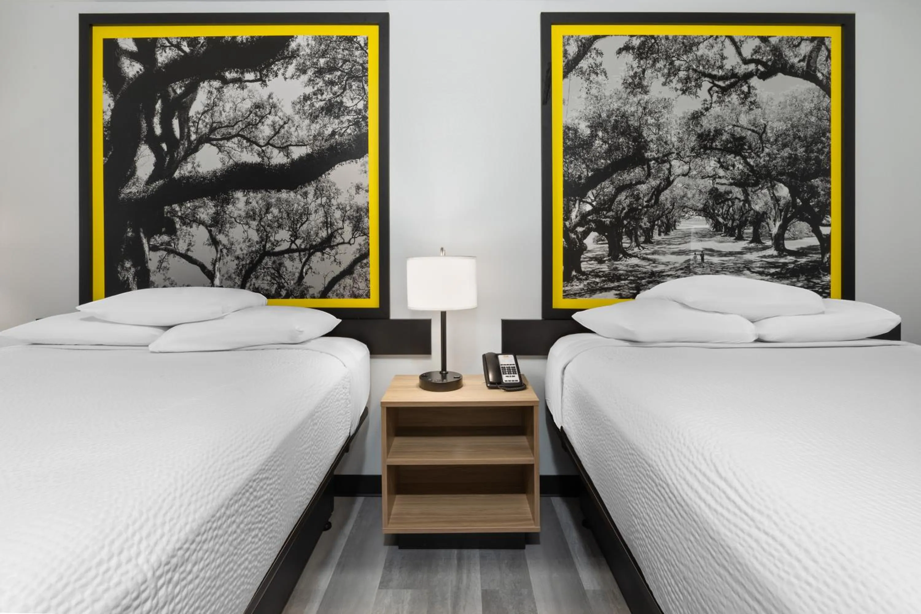 View (from property/room), Bed in Super 8 by Wyndham Alexandria LA