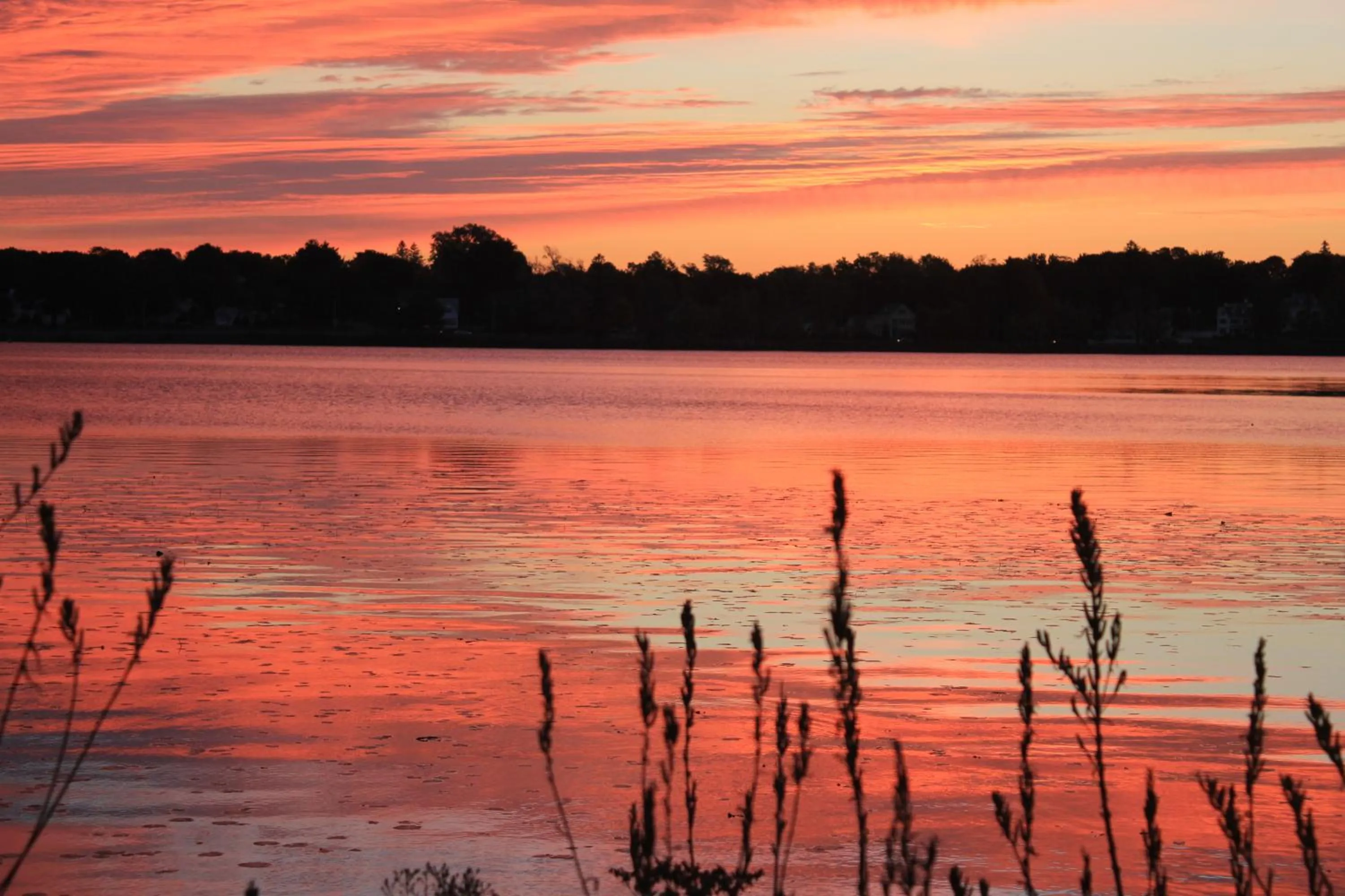 Natural landscape in Lakeside Inn