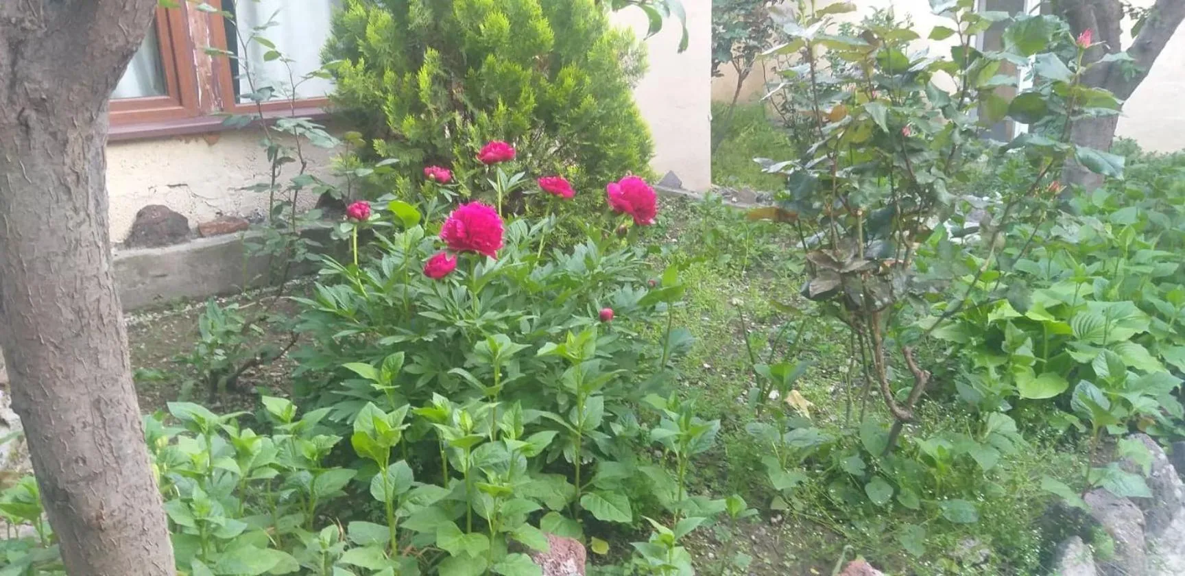 Li Yes Yerevan hotel