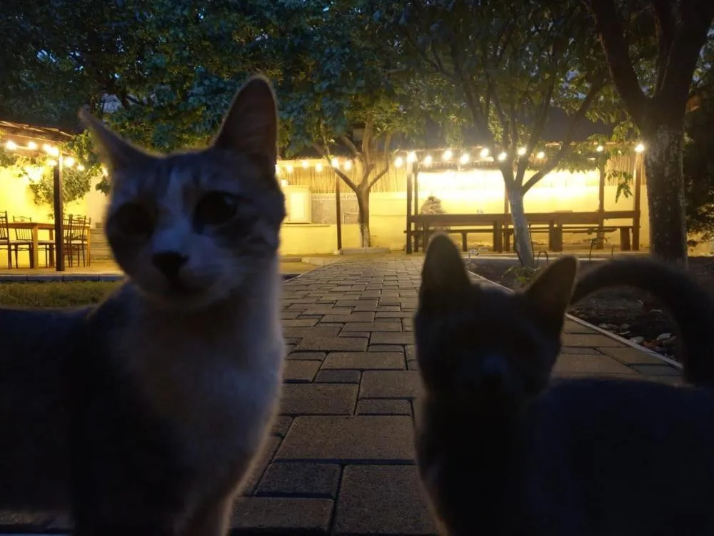 Li Yes Yerevan hotel