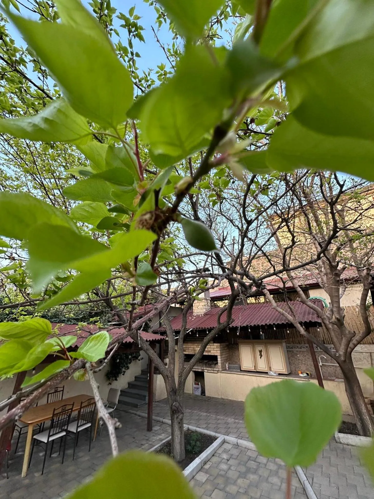 Li Yes Yerevan hotel