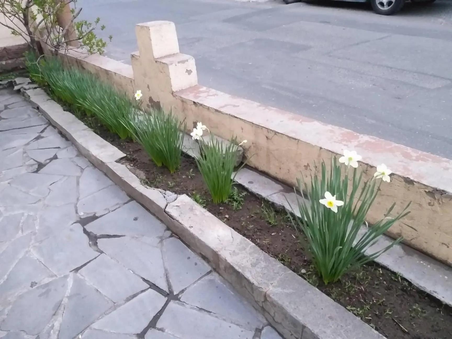 Li Yes Yerevan hotel