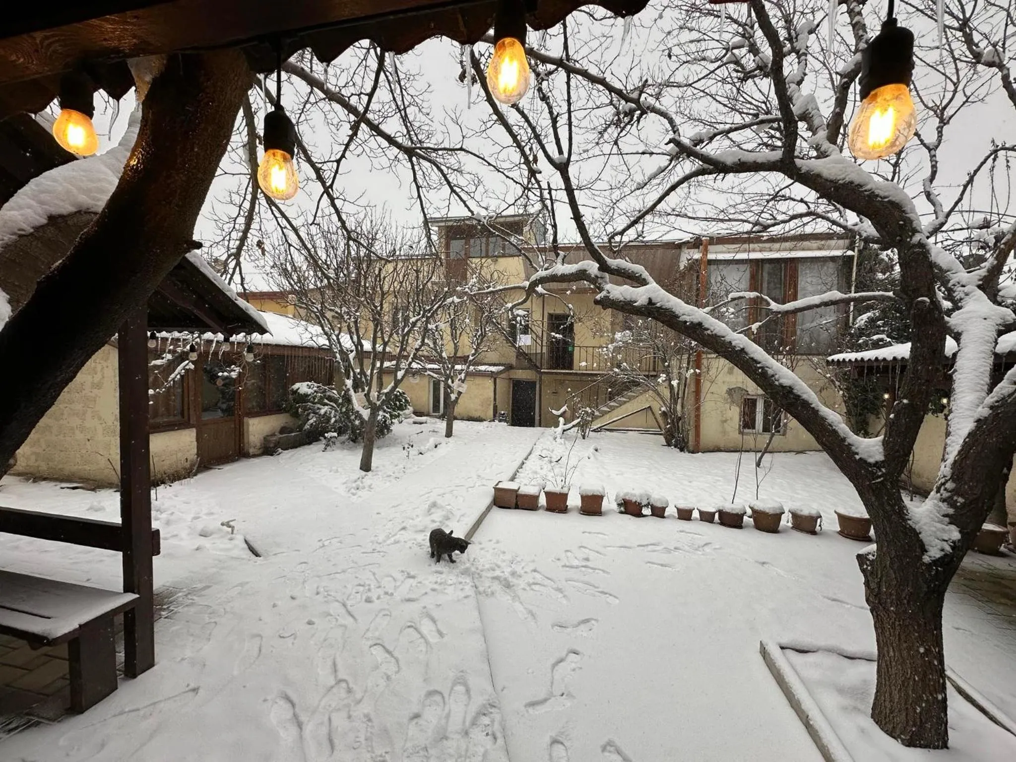 Li Yes Yerevan hotel